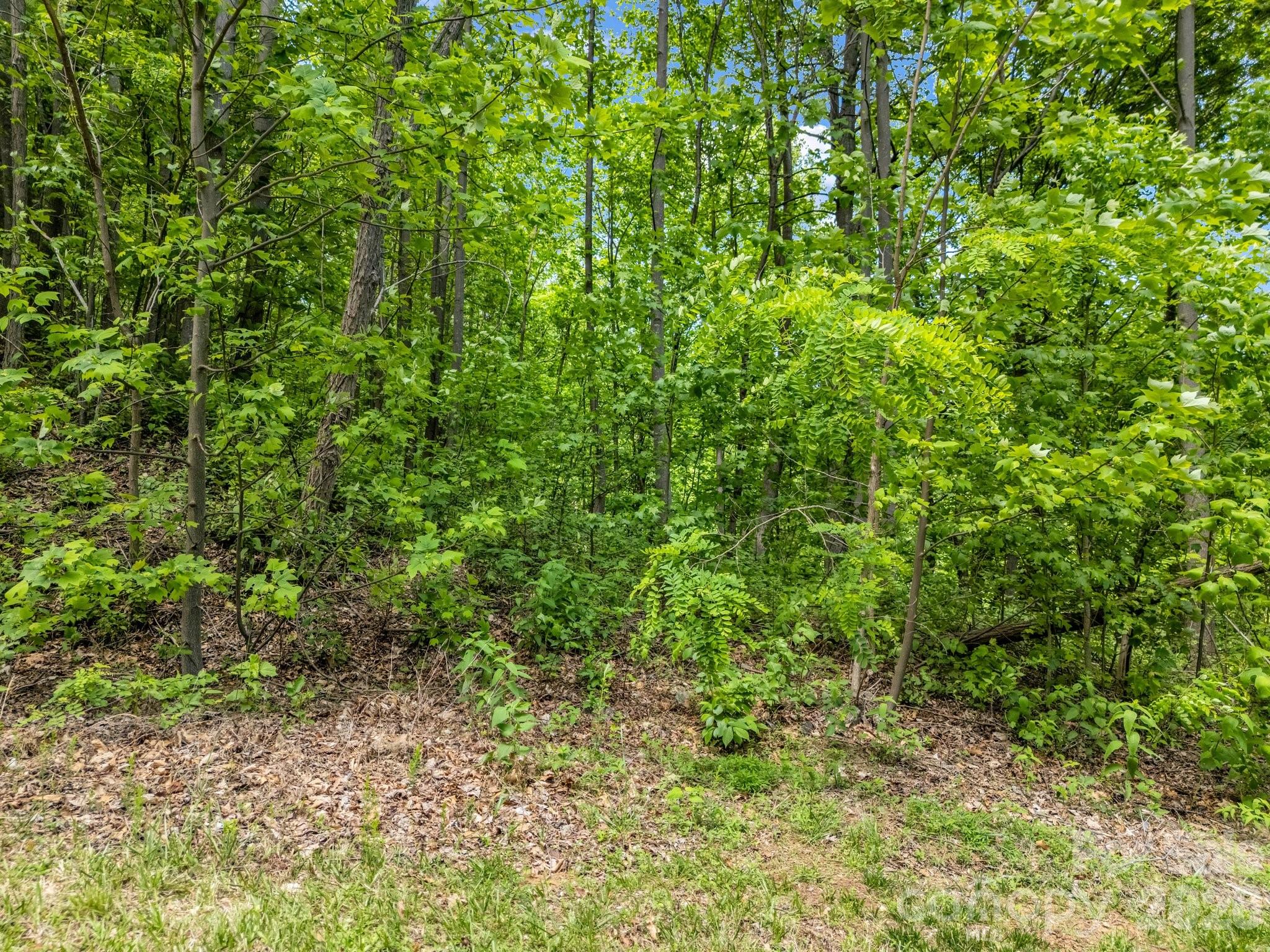 Lot at 0 Ragans Pointe, Columbus, photo 3 of 26