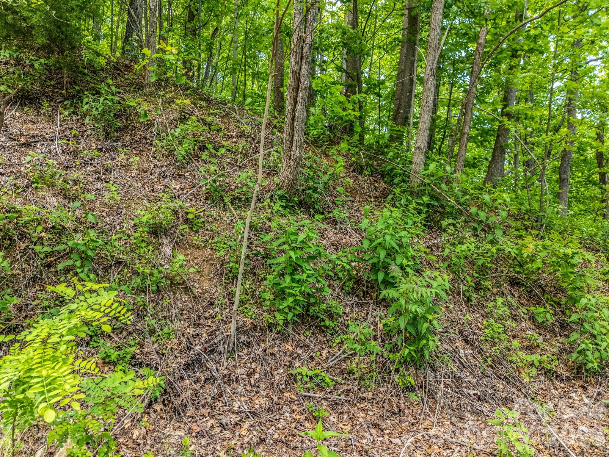 Lot at 0 Ragans Pointe, Columbus, photo 4 of 26
