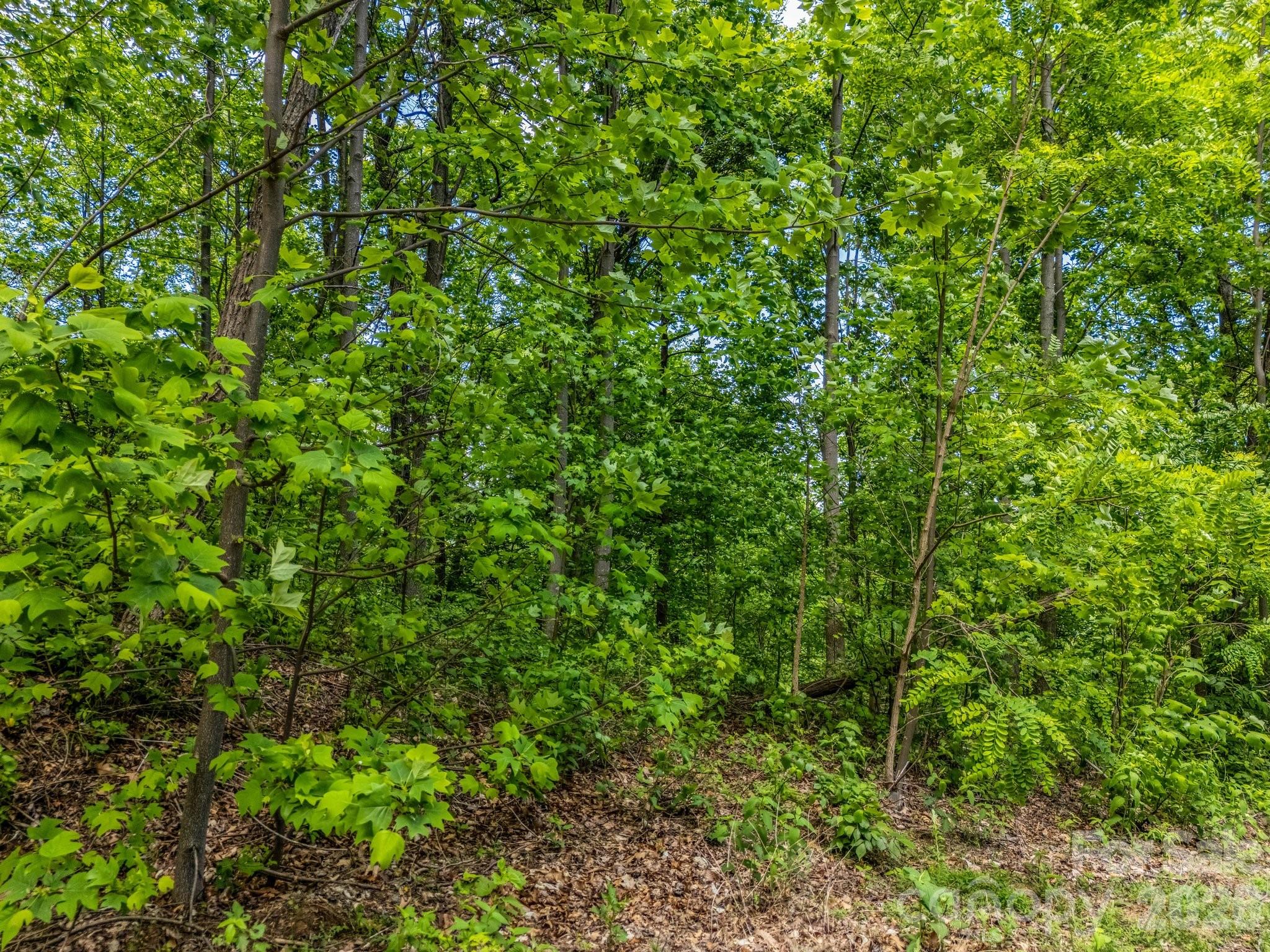 Lot at 0 Ragans Pointe, Columbus, photo 5 of 26