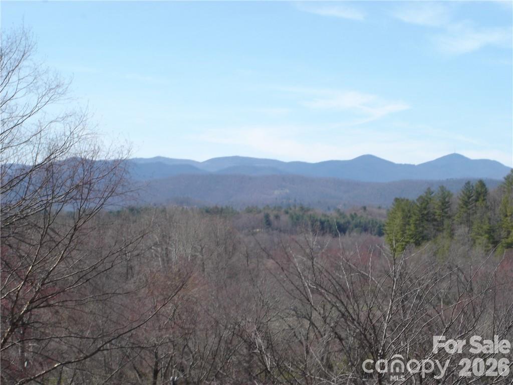 Year-Round Sunset Views - Lot #12 Cummings Cove Parkway, Hendersonville