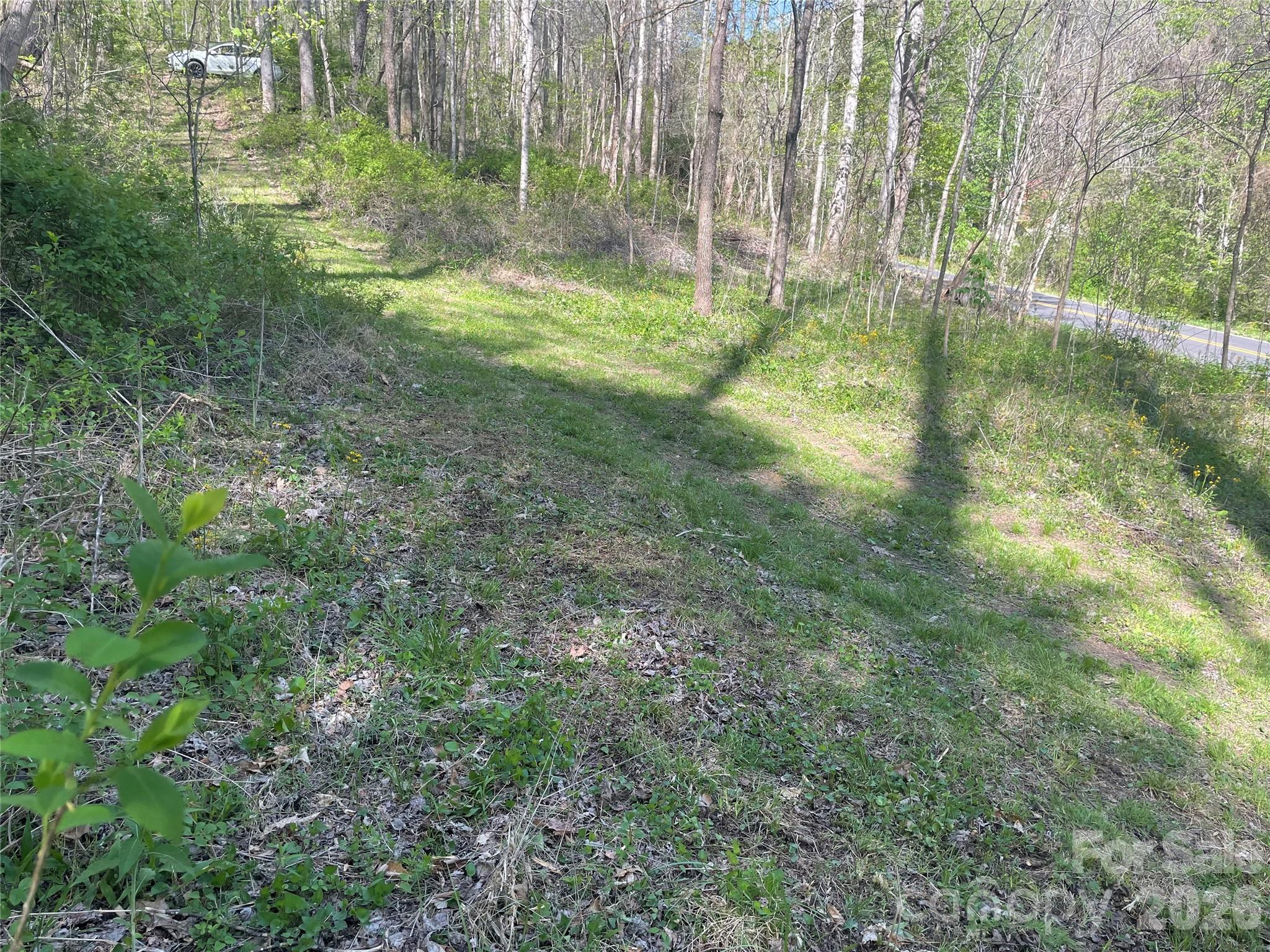 A small cleared portion by the road leads you up old logging roads to multiple home sites - 99999 Martins Creek Road, Barnardsville