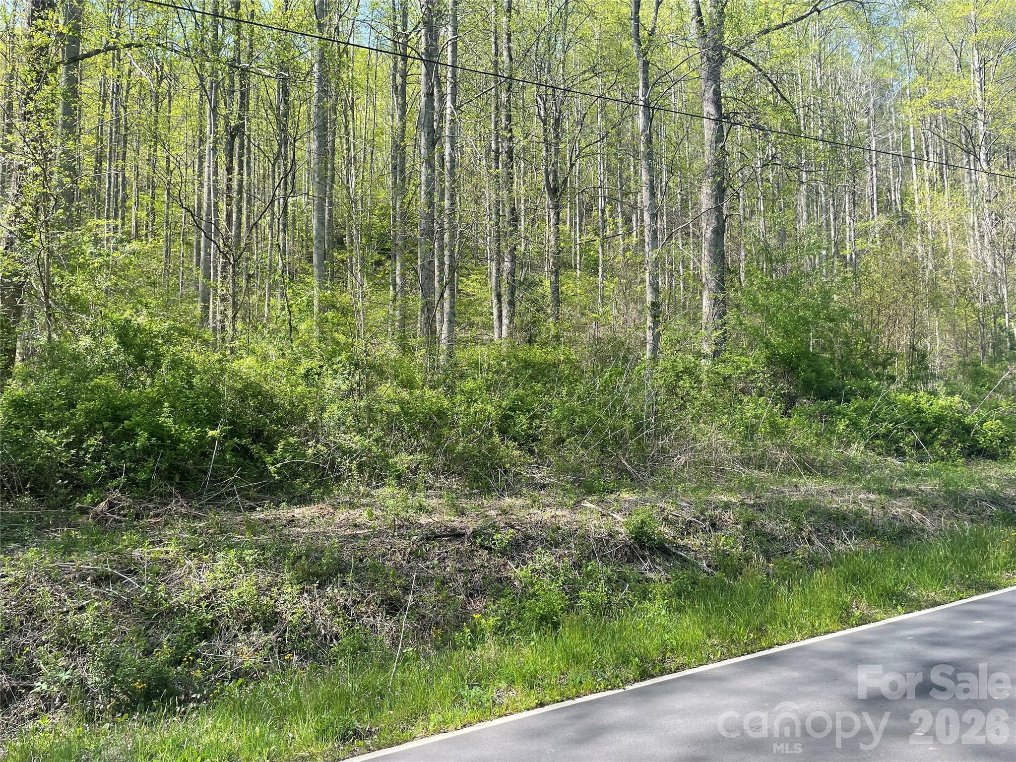 Timber central over here! - 99999 Martins Creek Road, Barnardsville