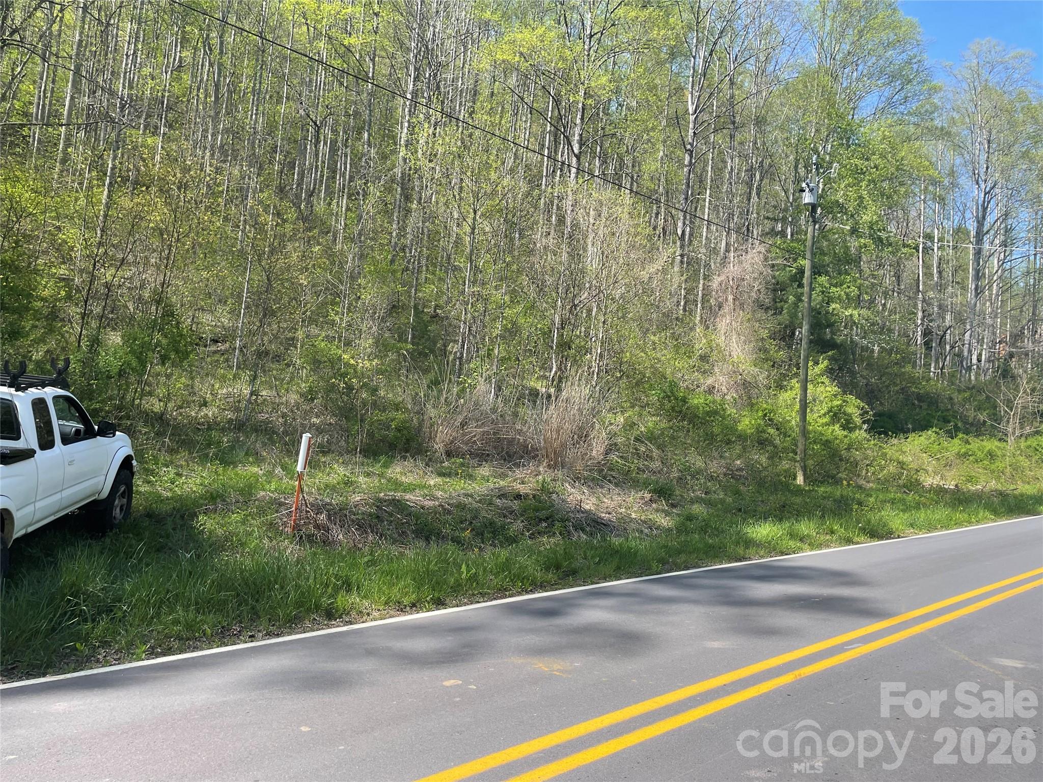Parking by the road - 99999 Martins Creek Road, Barnardsville