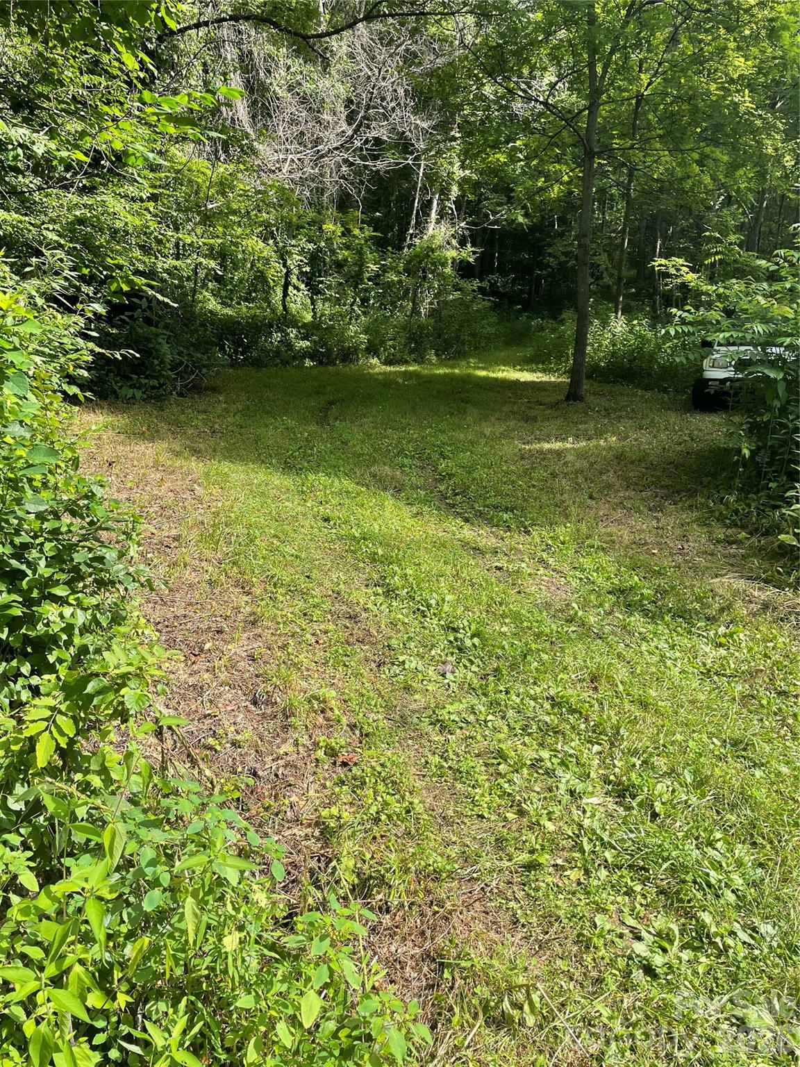 Cleared section - 99999 Martins Creek Road, Barnardsville