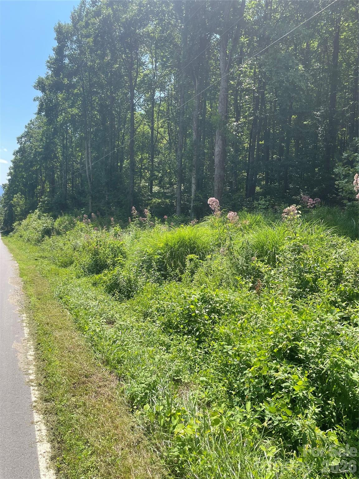 Road frontage - 99999 Martins Creek Road, Barnardsville