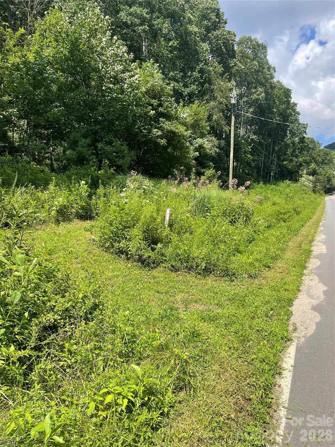 Road Frontage - 99999 Martins Creek Road, Barnardsville
