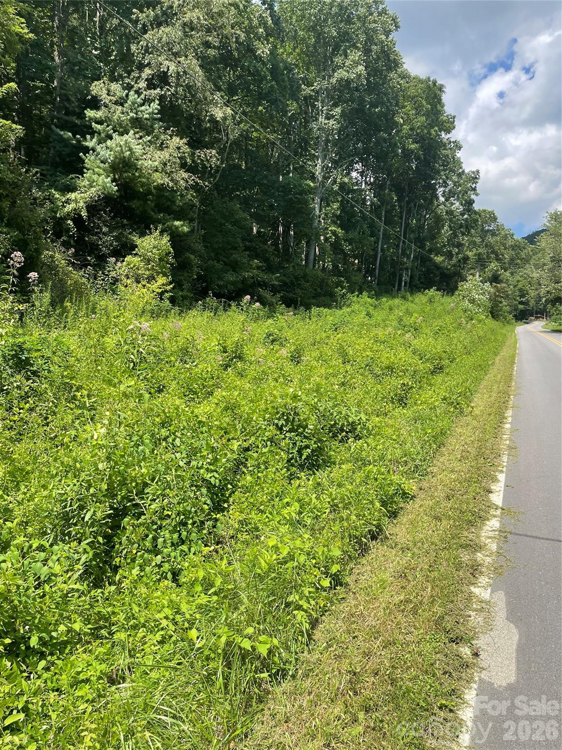 Road frontage - 99999 Martins Creek Road, Barnardsville