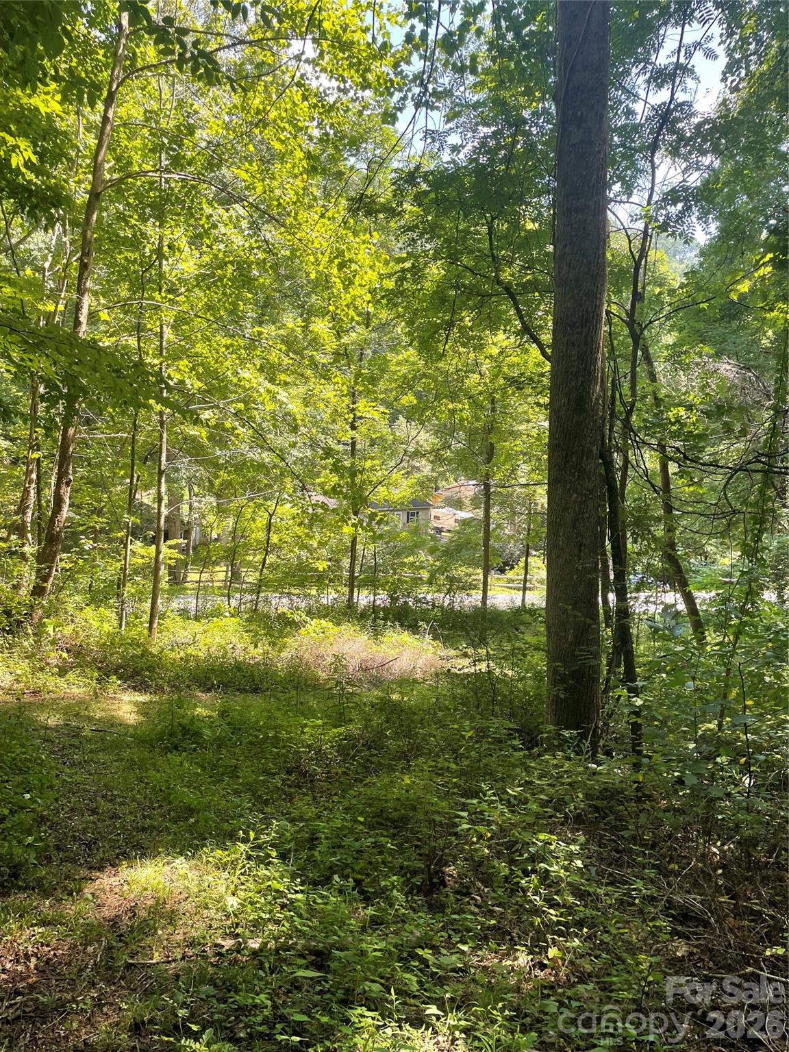 Welcome! - 99999 Martins Creek Road, Barnardsville