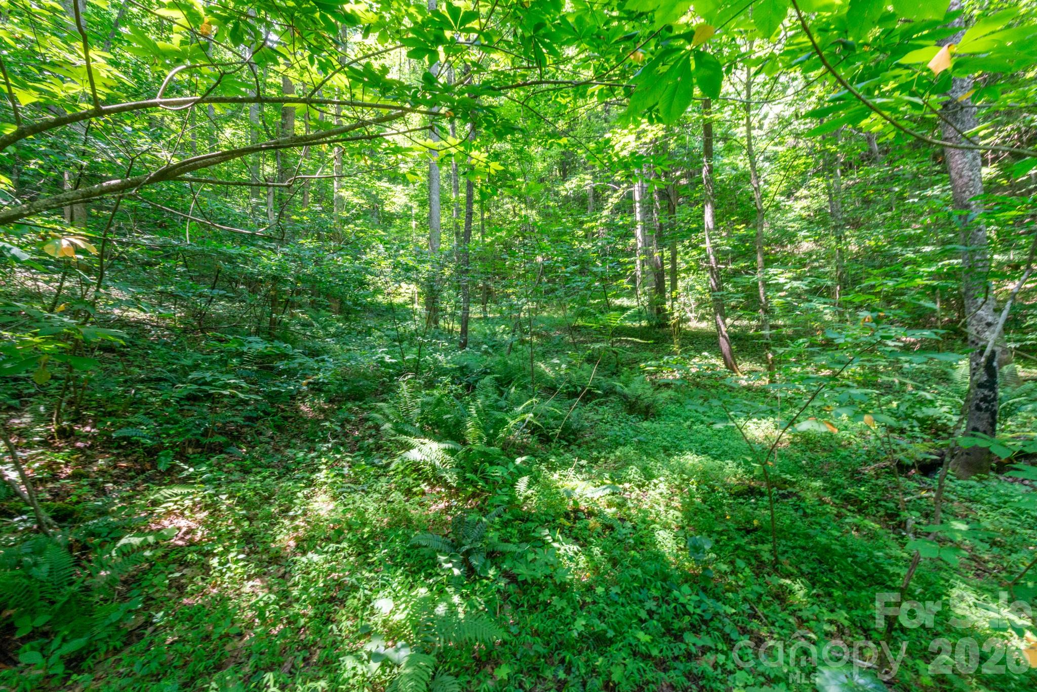 Acreage at ### Board Tree Road, Marshall, photo 6 of 12