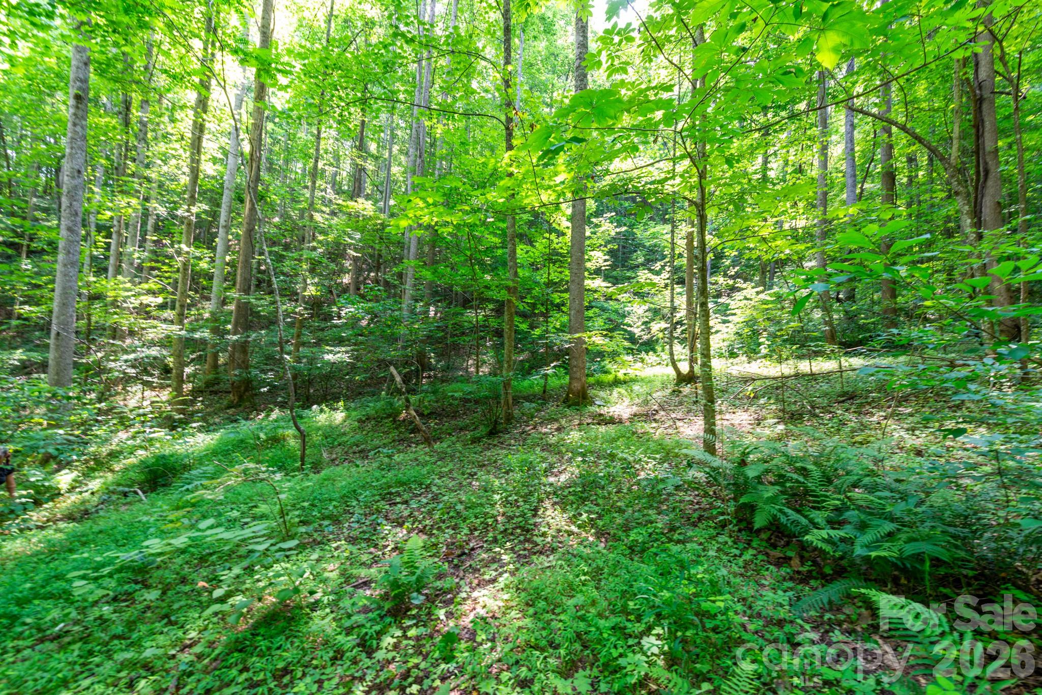 Acreage at ### Board Tree Road, Marshall, photo 7 of 12