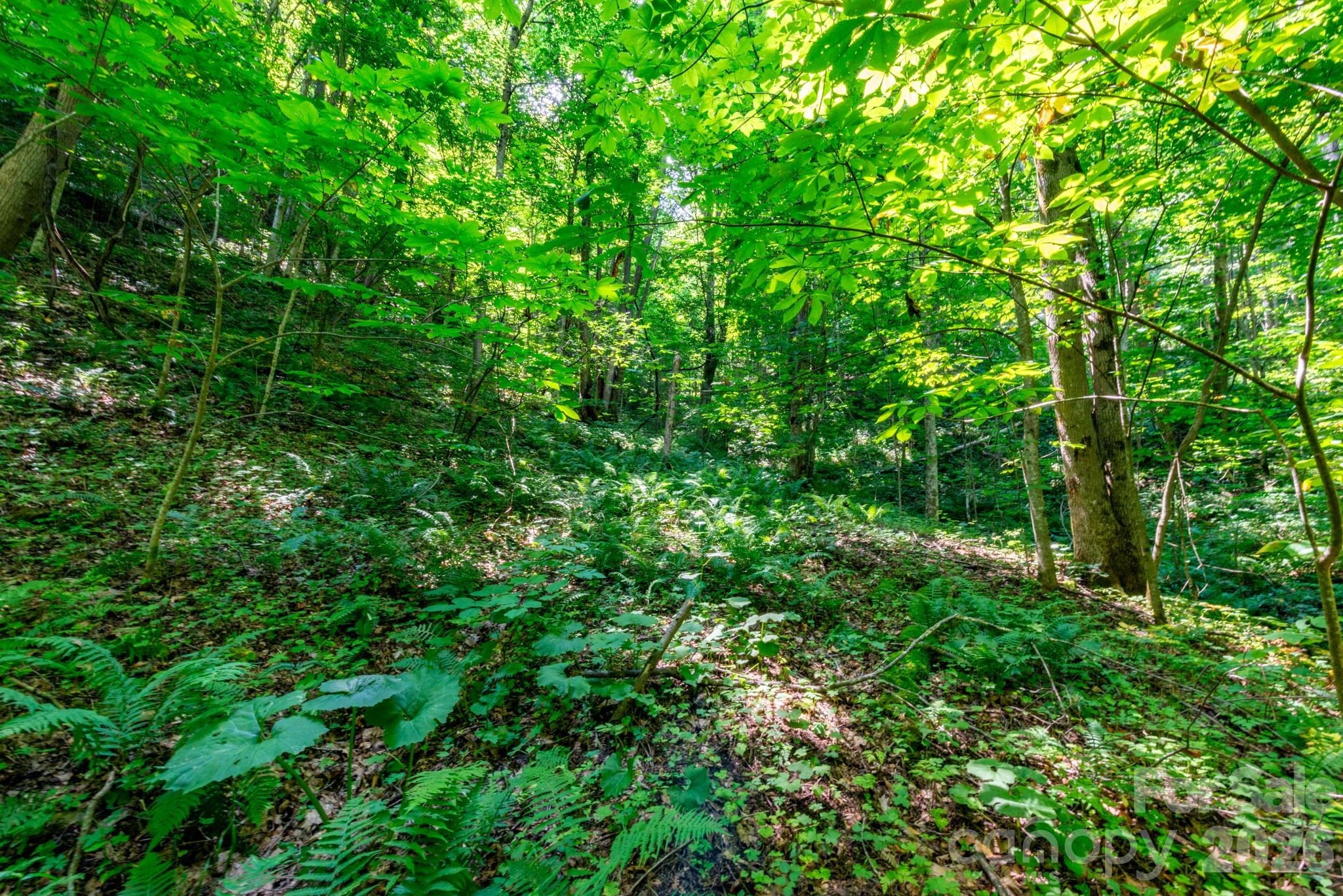 Acreage at ### Board Tree Road, Marshall, photo 9 of 12