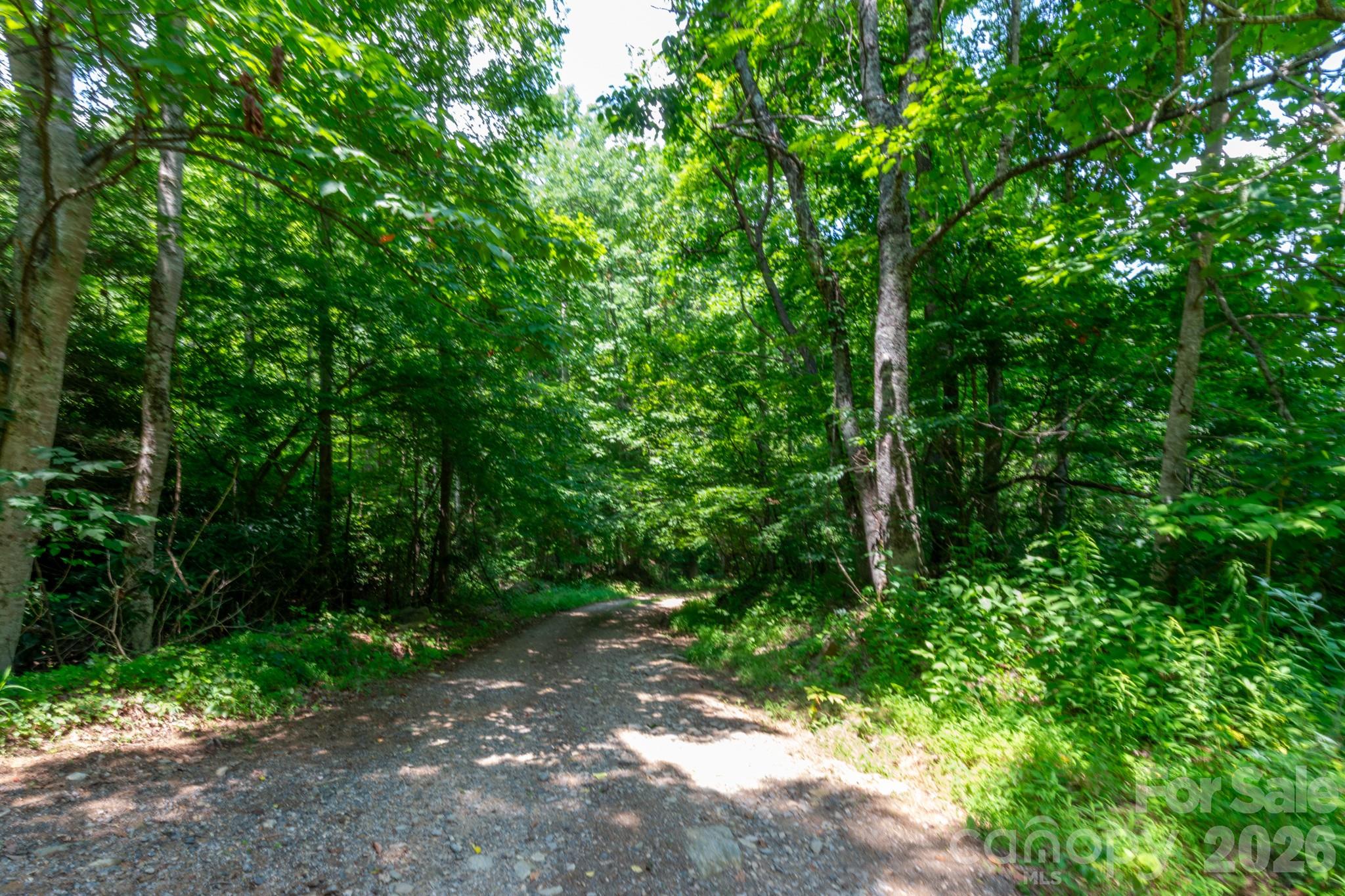 Acreage at ### Board Tree Road, Marshall, photo 10 of 12