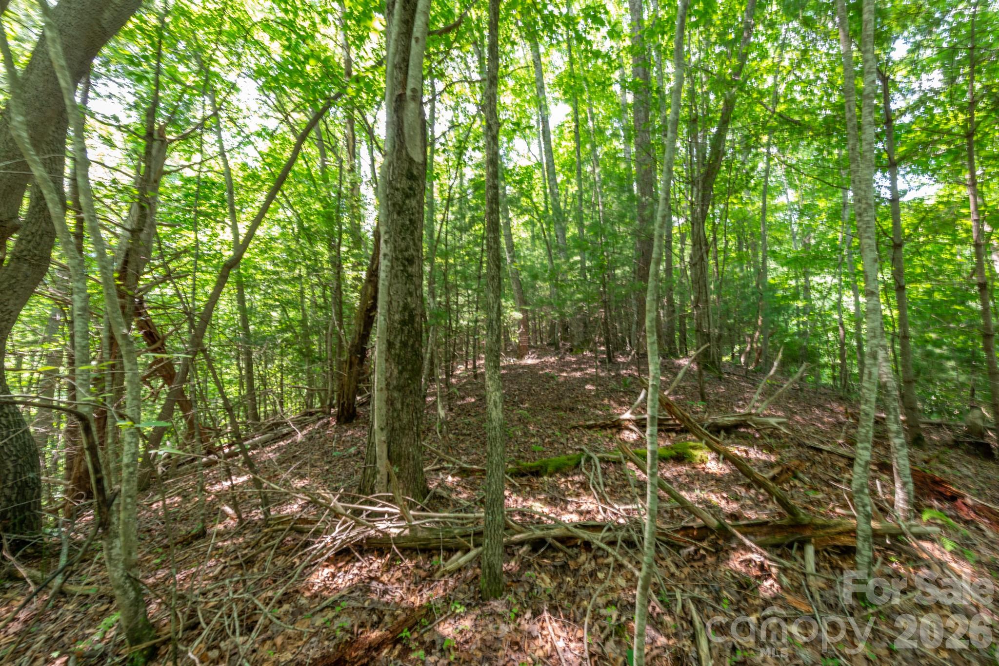 Acreage at ### Board Tree Road, Marshall, photo 9 of 13