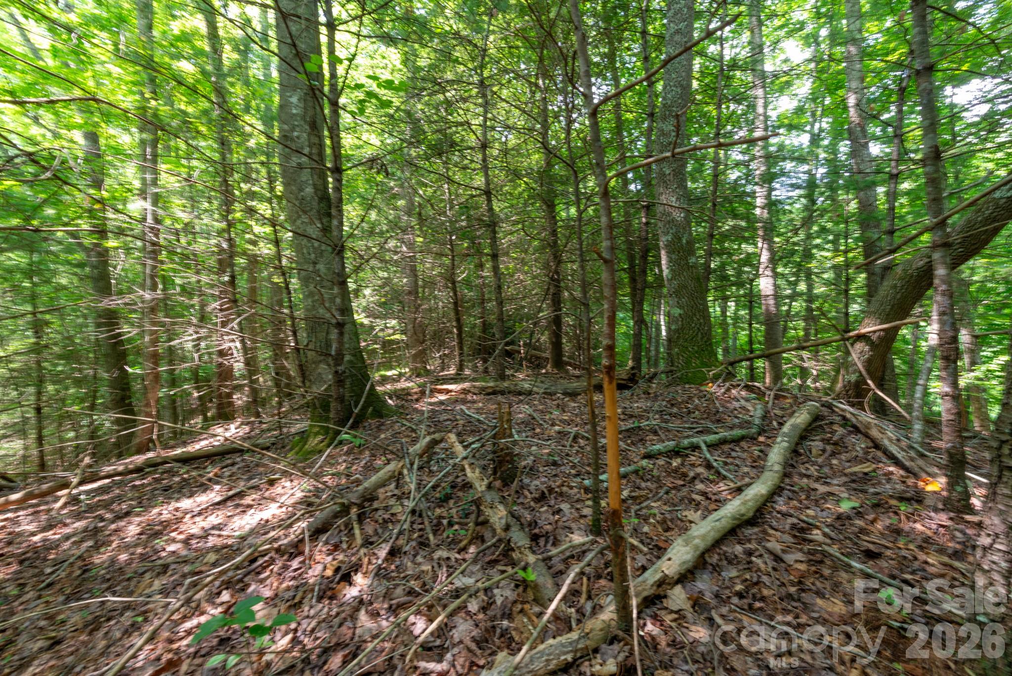 Acreage at ### Board Tree Road, Marshall, photo 10 of 13