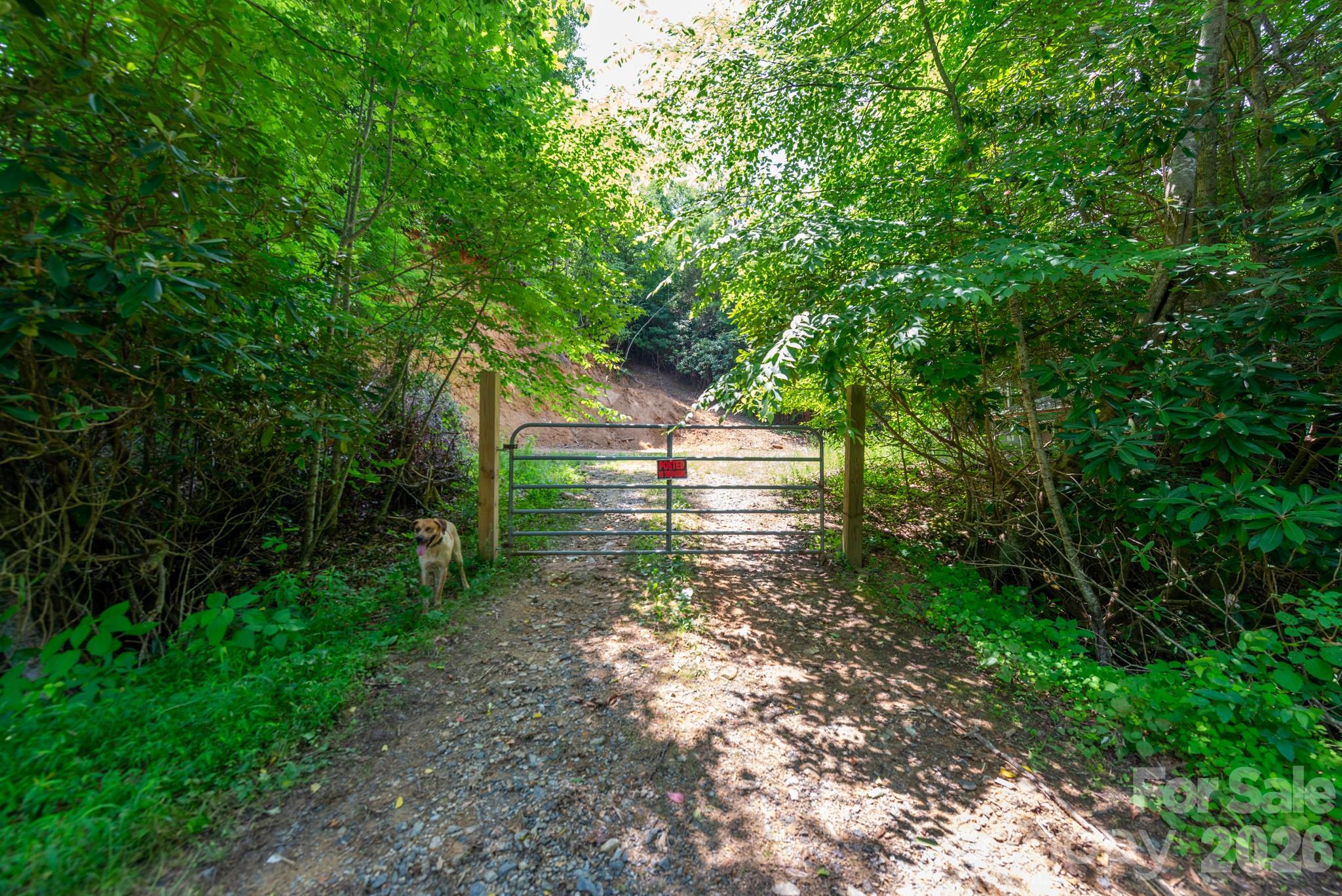 Acreage at ### Board Tree Road, Marshall, photo 12 of 13