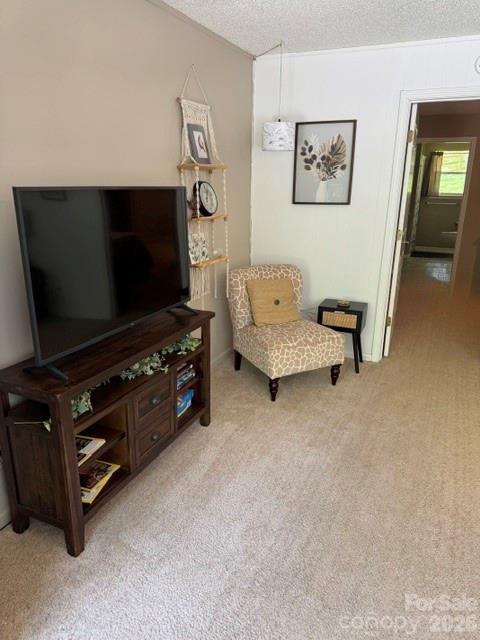 right side - 96 Rolling Hills Road, Mills River