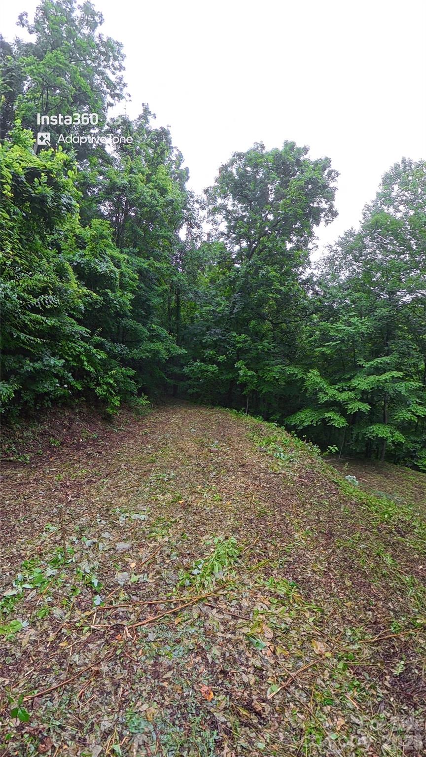 Lot at 385 Valley View Drive, Maggie Valley, photo 2 of 5