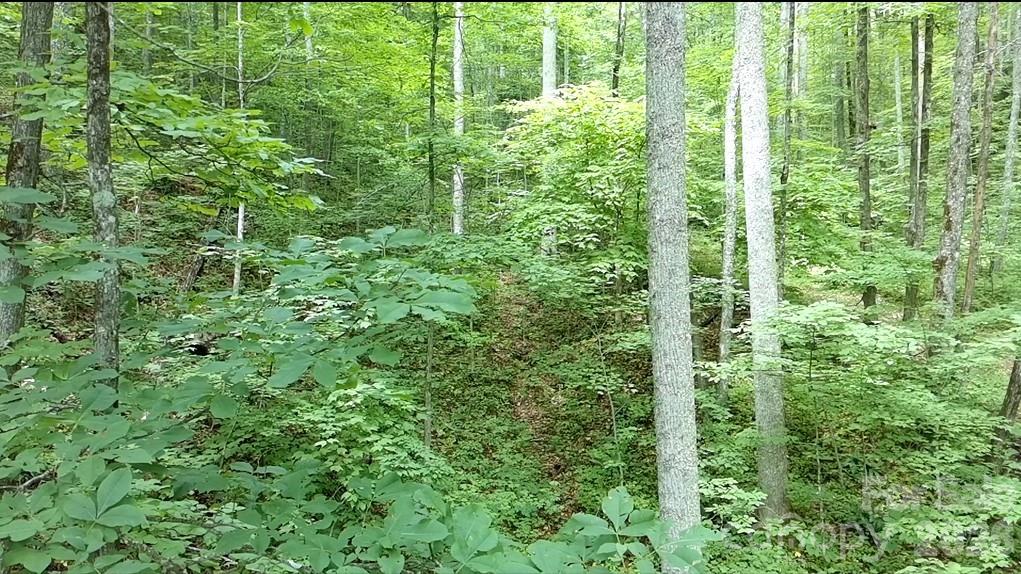Lot at 1873 Unahala Creek Drive, Bryson City, photo 7 of 11