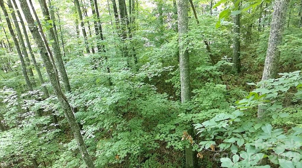 Lot at 1873 Unahala Creek Drive, Bryson City, photo 8 of 11