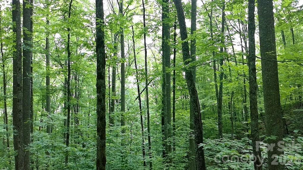 Lot at 1873 Unahala Creek Drive, Bryson City, photo 11 of 11
