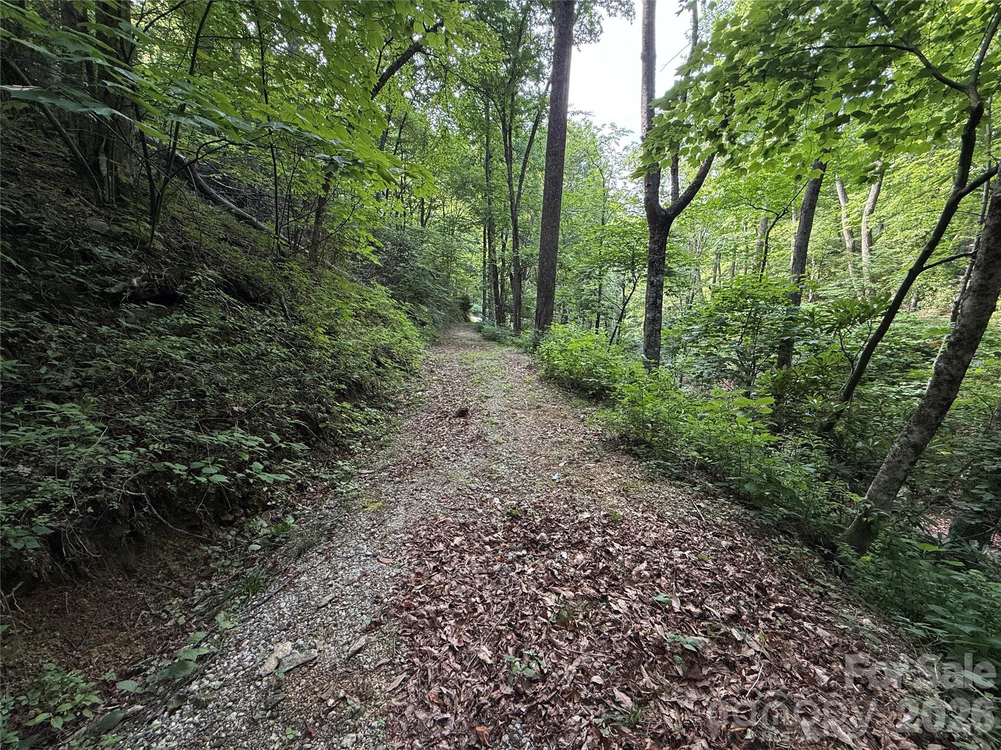 Acreage at 64 Clay View Drive, Fairview, photo 4 of 21