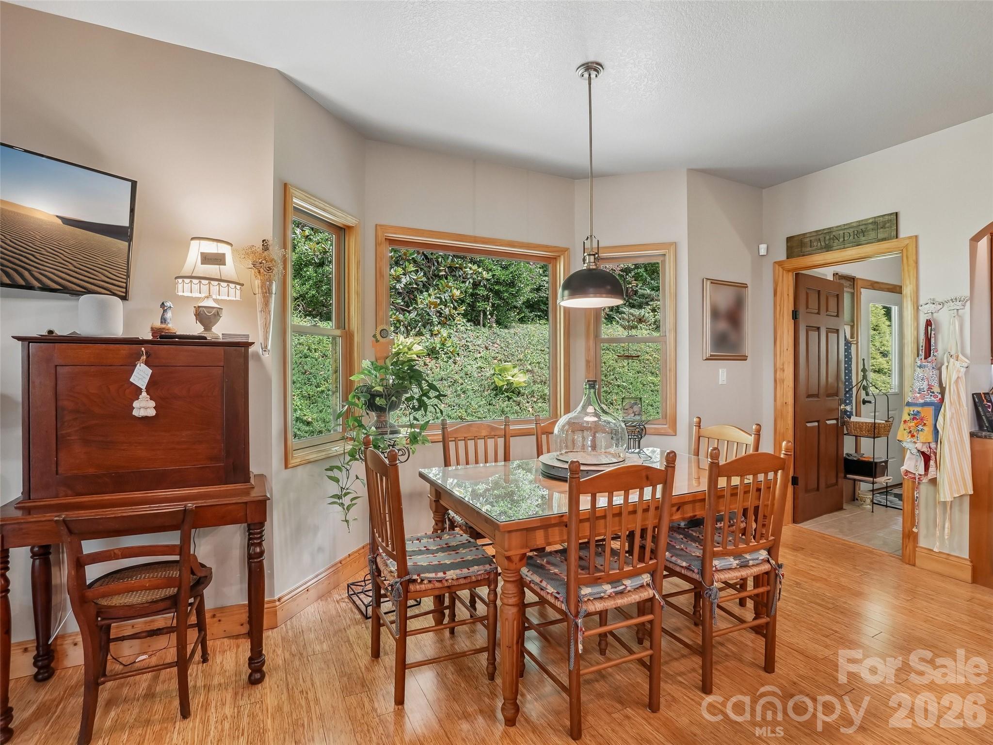 Single Family Residence at 300 Pinnacle Peak Lane, Flat Rock, photo 16 of 40