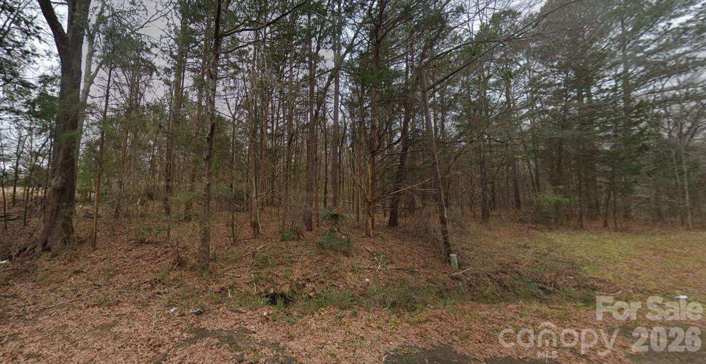 Acreage at 00 Oak Street, Fort Lawn, photo 2 of 2