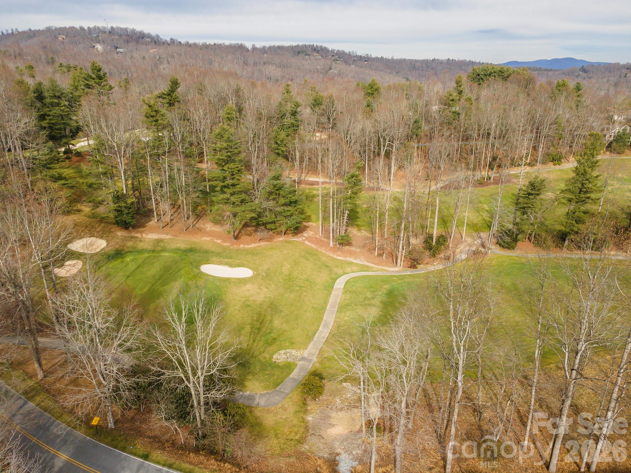 Lot at 24 Falls Lane, Hendersonville, photo 3 of 38