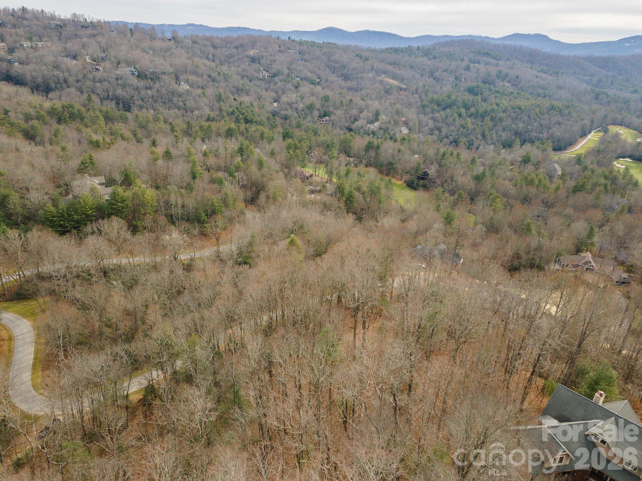 Lot at 24 Falls Lane, Hendersonville, photo 21 of 38