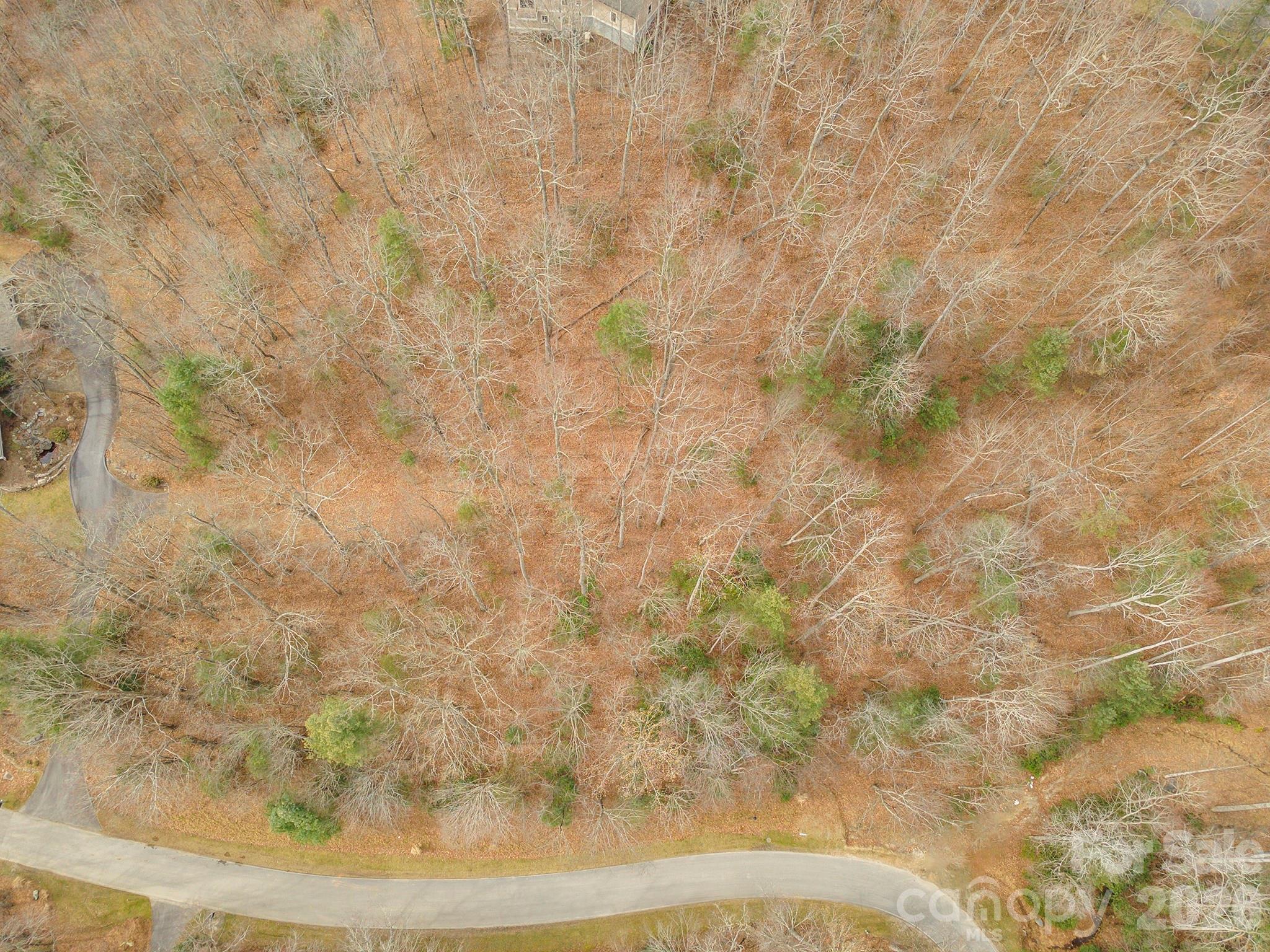 Lot at 24 Falls Lane, Hendersonville, photo 27 of 38