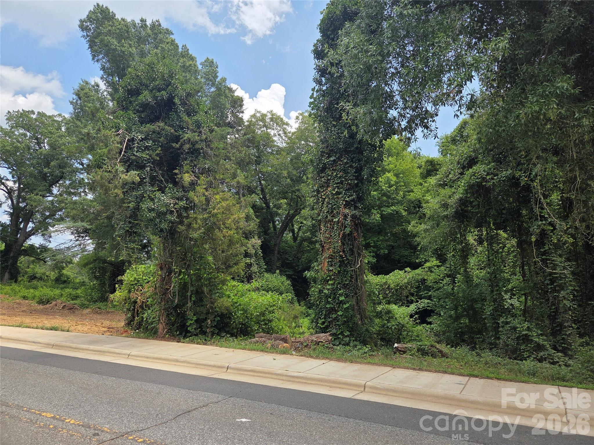715 Old Charlotte Road SW