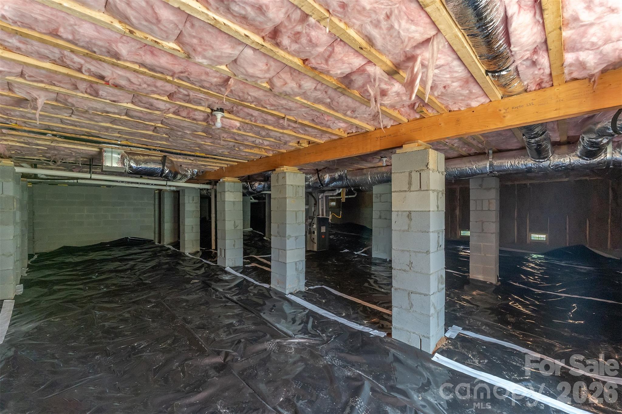 Tall crawl space - 808 Maybank Drive, Hendersonville