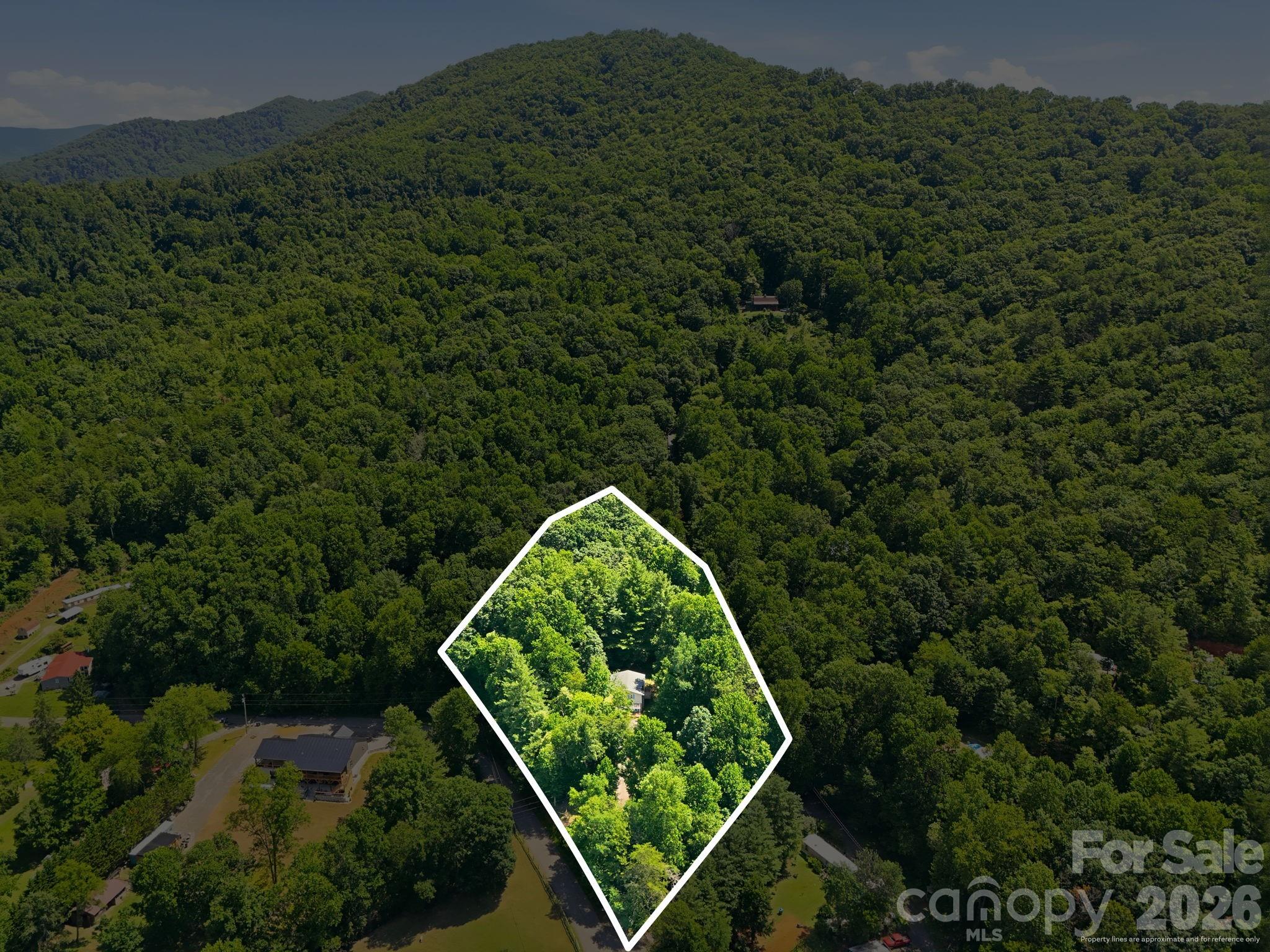 Lot parameters on drone picture. - 95 Walker Cove Road, Black Mountain