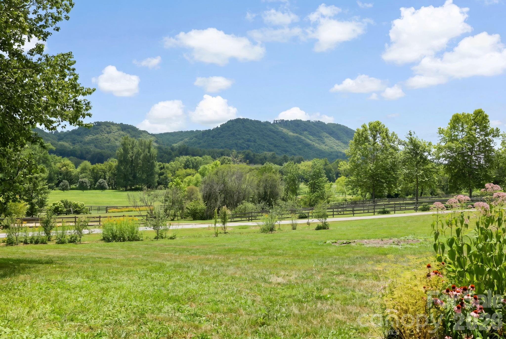 Views off the patio - 114 Cane Creek Ranch Drive, Fletcher