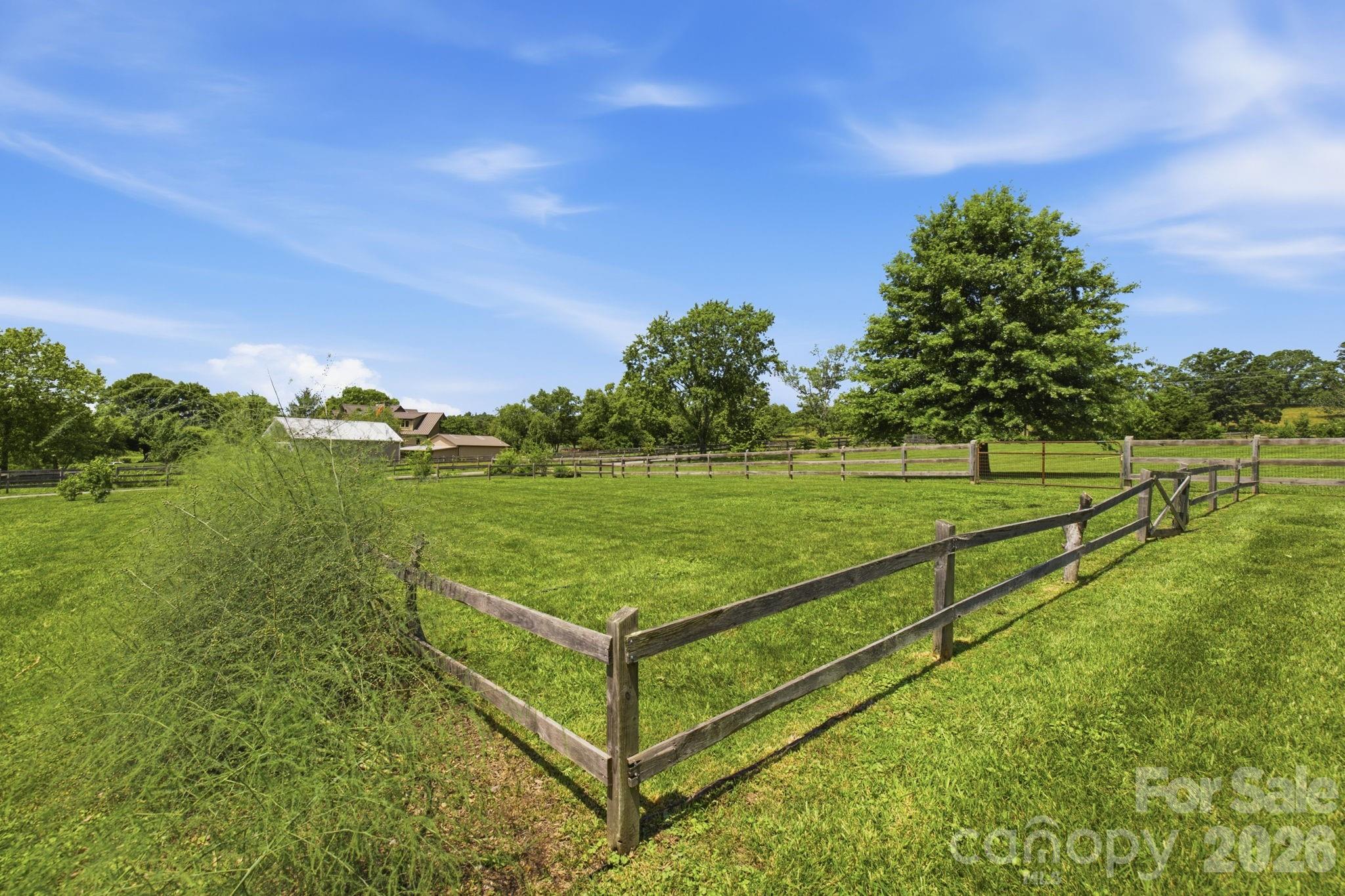 Established asparagus and livestock paddocks - 114 Cane Creek Ranch Drive, Fletcher