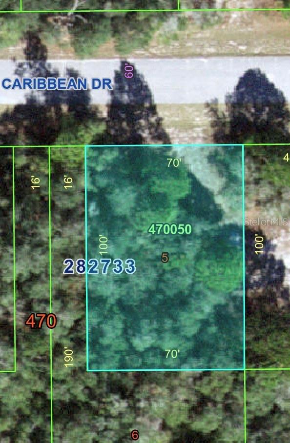 1220 CARIBBEAN DR