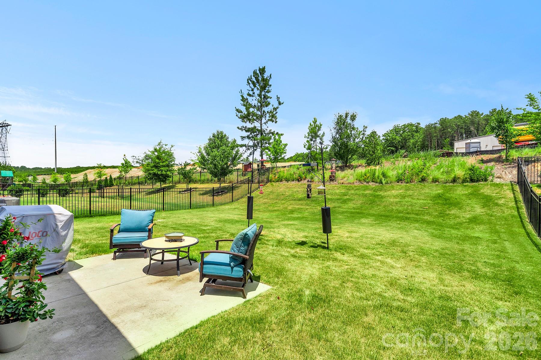 Large Backyard Space - 3591 Cerelia Lane, Denver