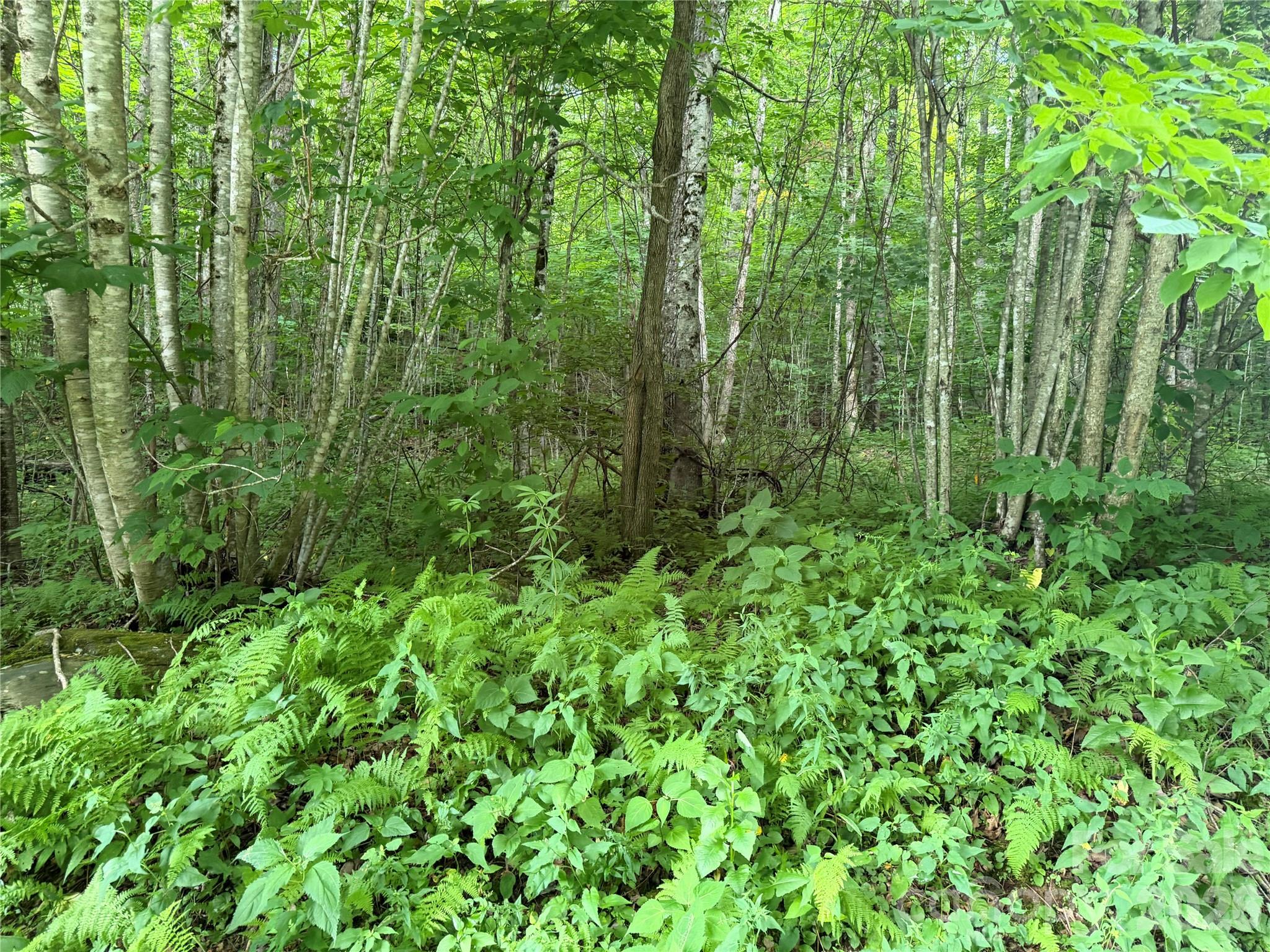 Lot at 64A Jonathan Trail, Maggie Valley, photo 3 of 15