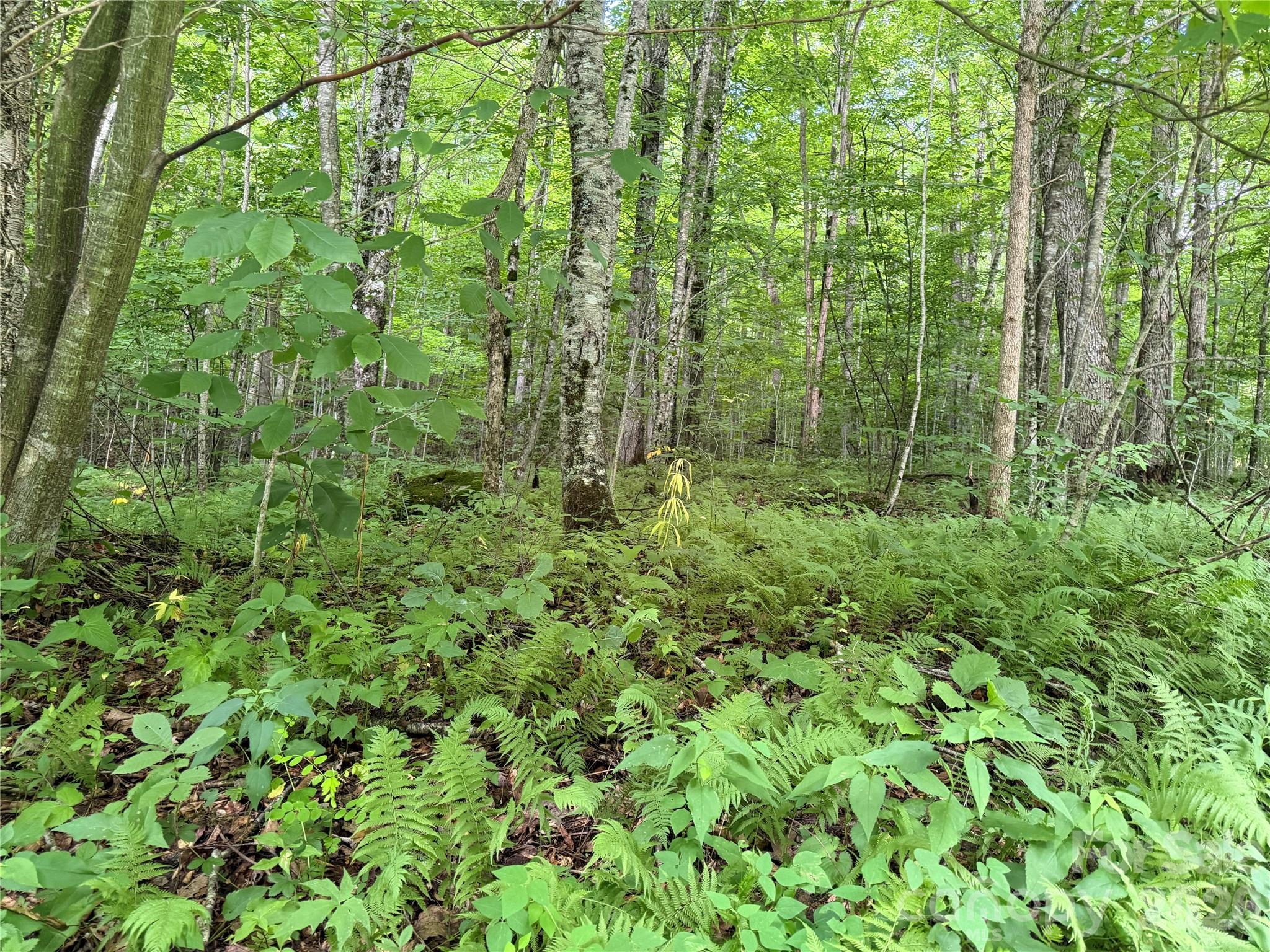 Lot at 64A Jonathan Trail, Maggie Valley, photo 5 of 15