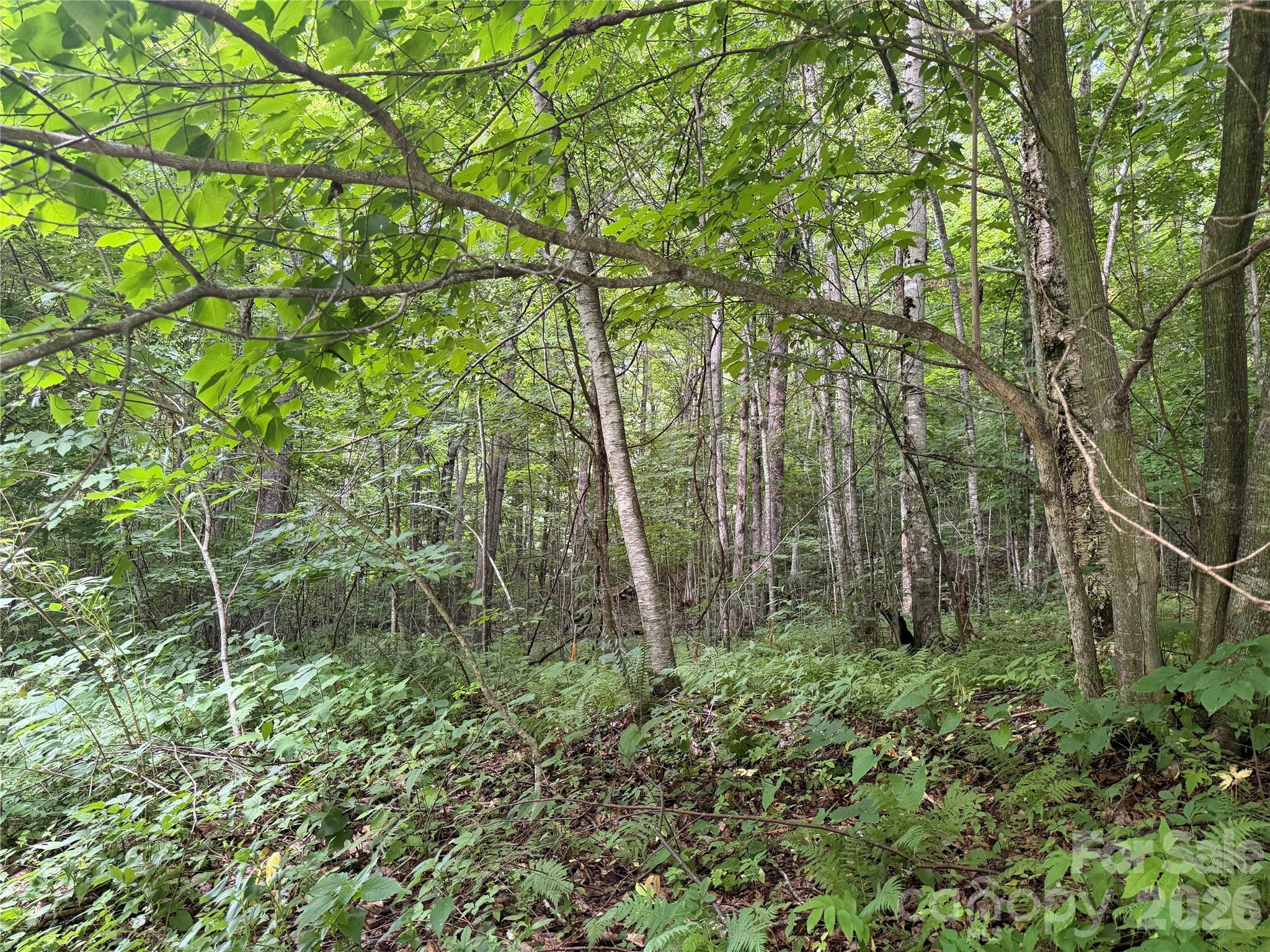 Lot at 64A Jonathan Trail, Maggie Valley, photo 7 of 15