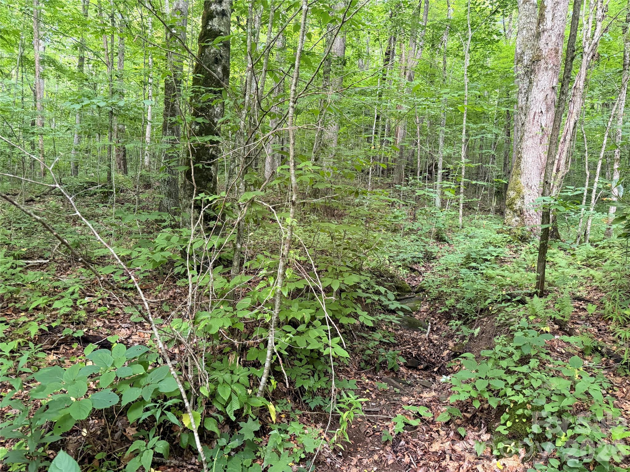 Lot at 64A Jonathan Trail, Maggie Valley, photo 8 of 15