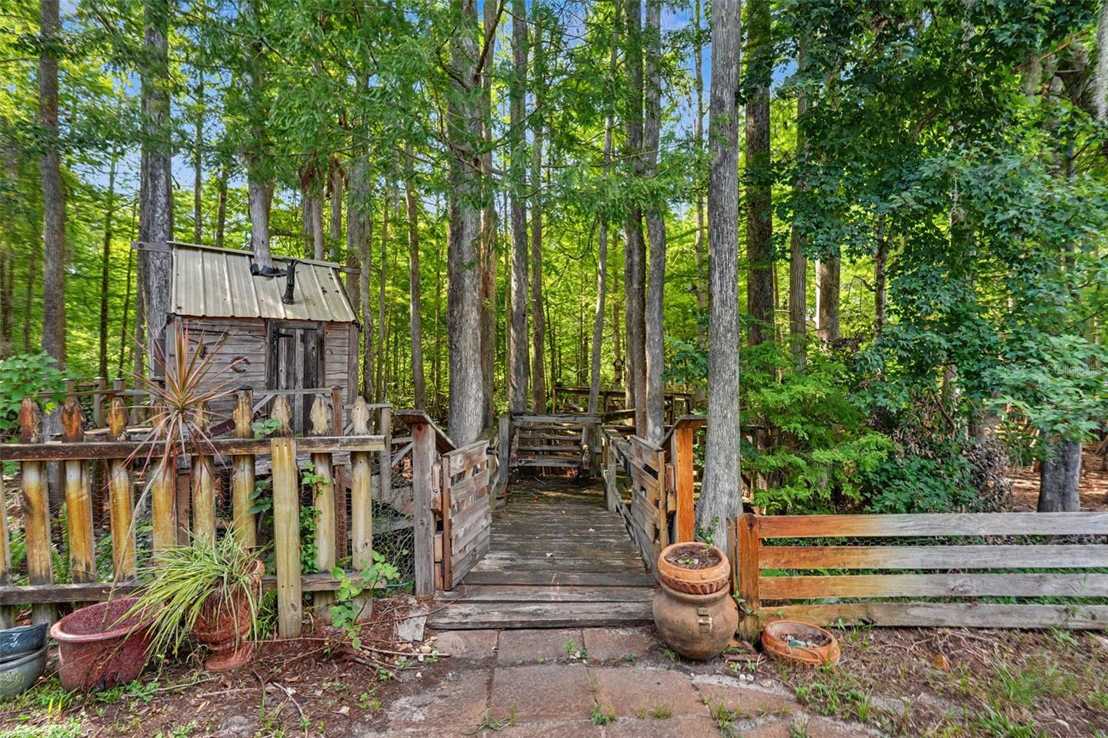 tree house - 10551 CASEY DR, NEW PORT RICHEY