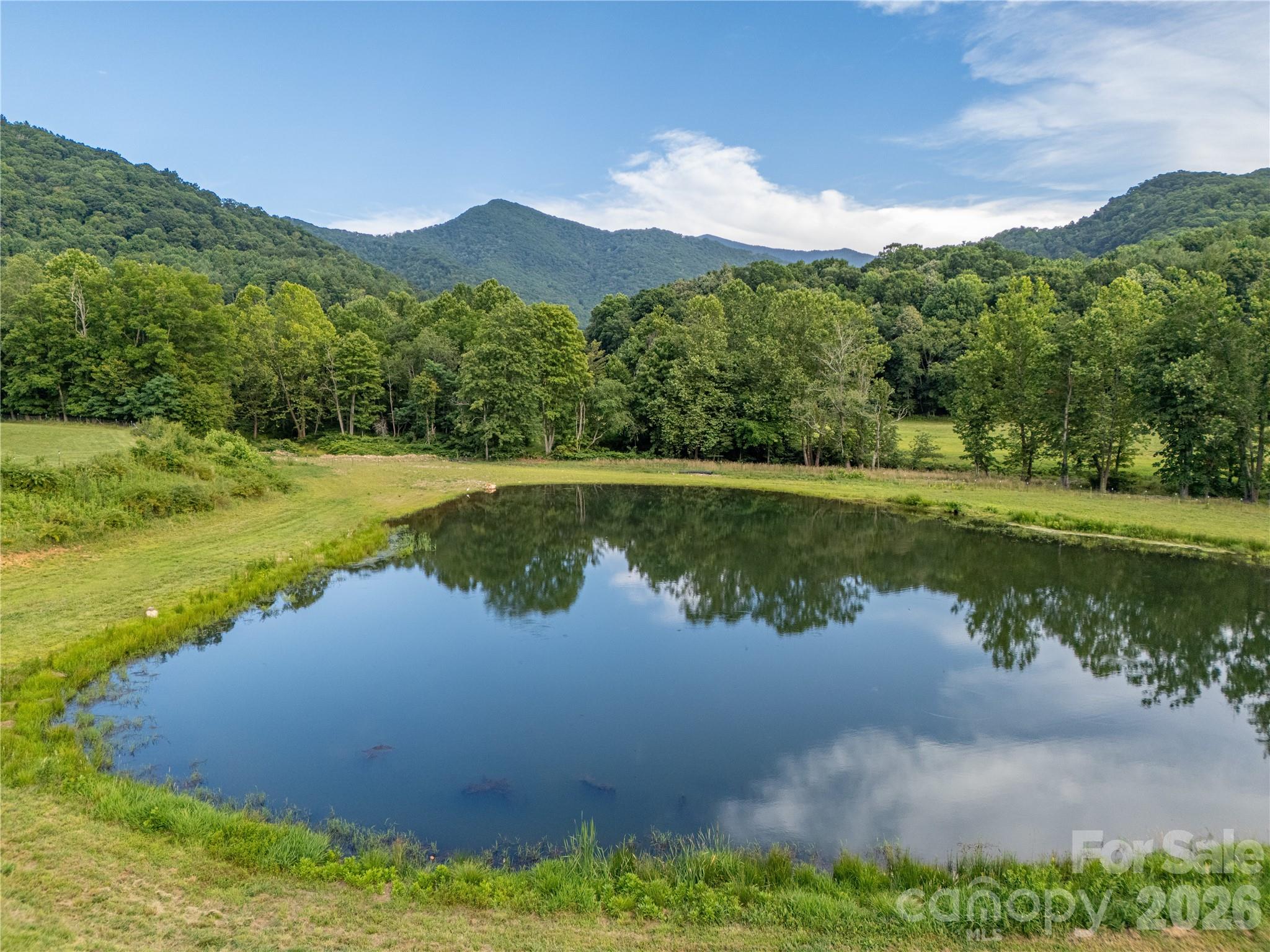 1.5+/- Acre Creek-Fed Pond - 793 State Highway 197 South, Burnsville