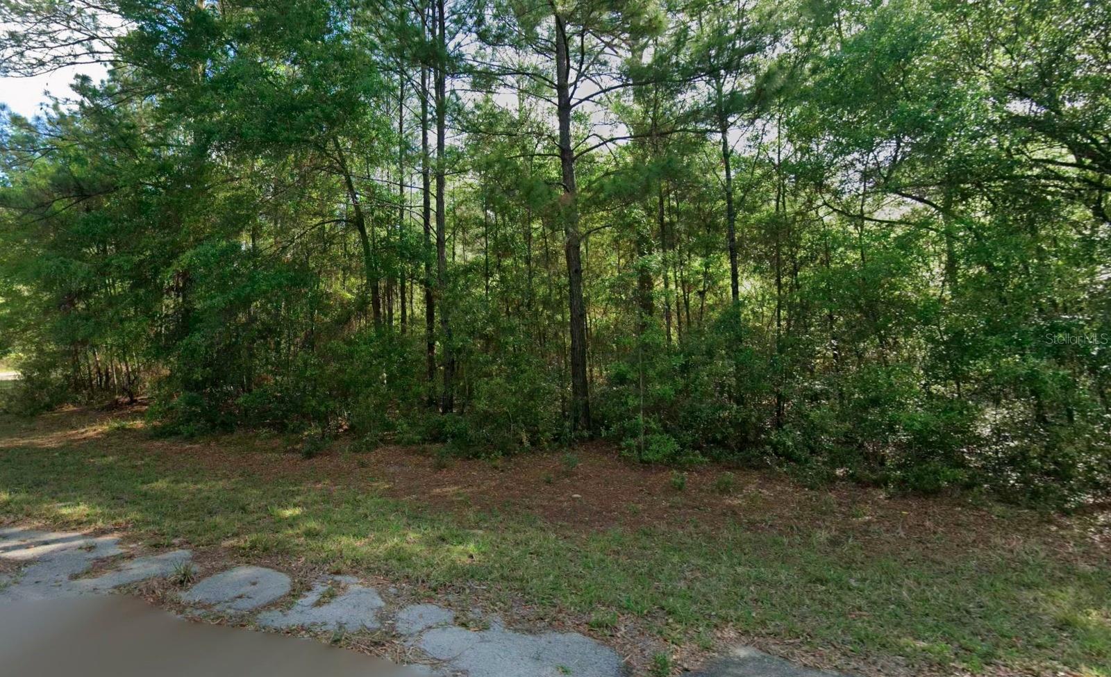 Land at 8961 N CONCH TER, DUNNELLON, photo 2 of 2