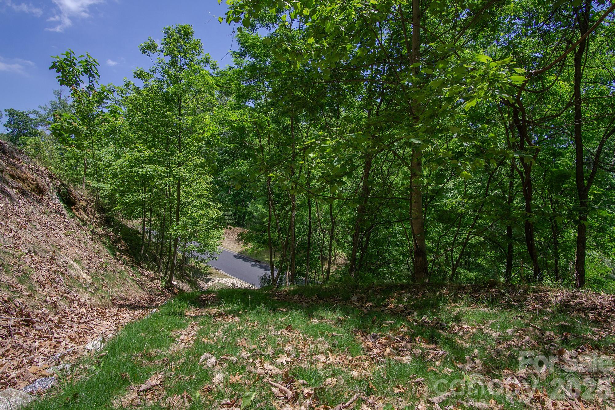 Lot at lot 53R Mills River Way, Horse Shoe, photo 2 of 33