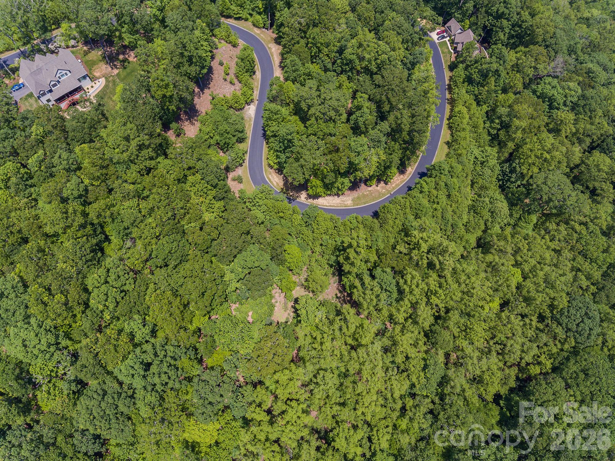 Lot at lot 53R Mills River Way, Horse Shoe, photo 14 of 33