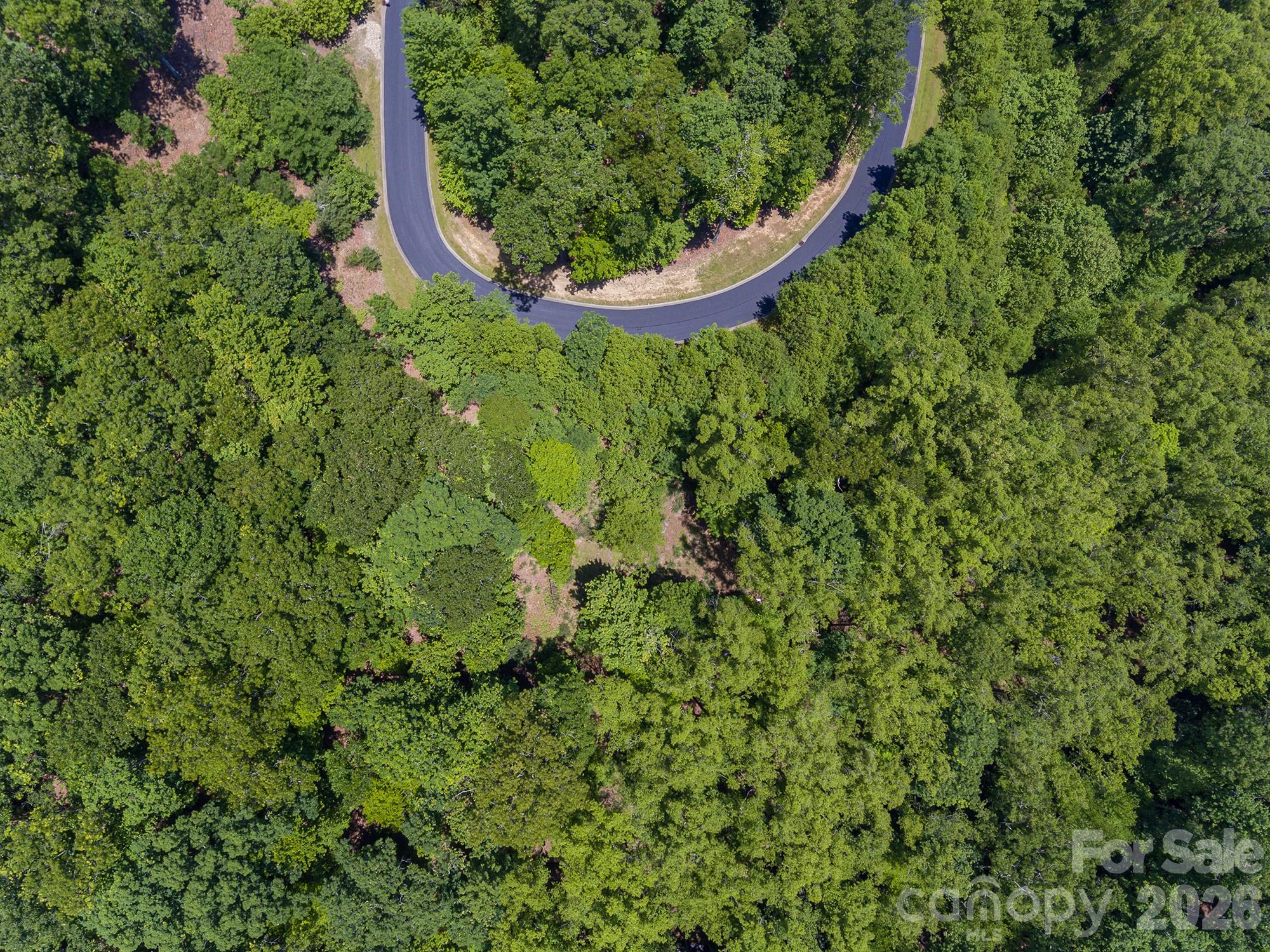 Lot at lot 53R Mills River Way, Horse Shoe, photo 15 of 33