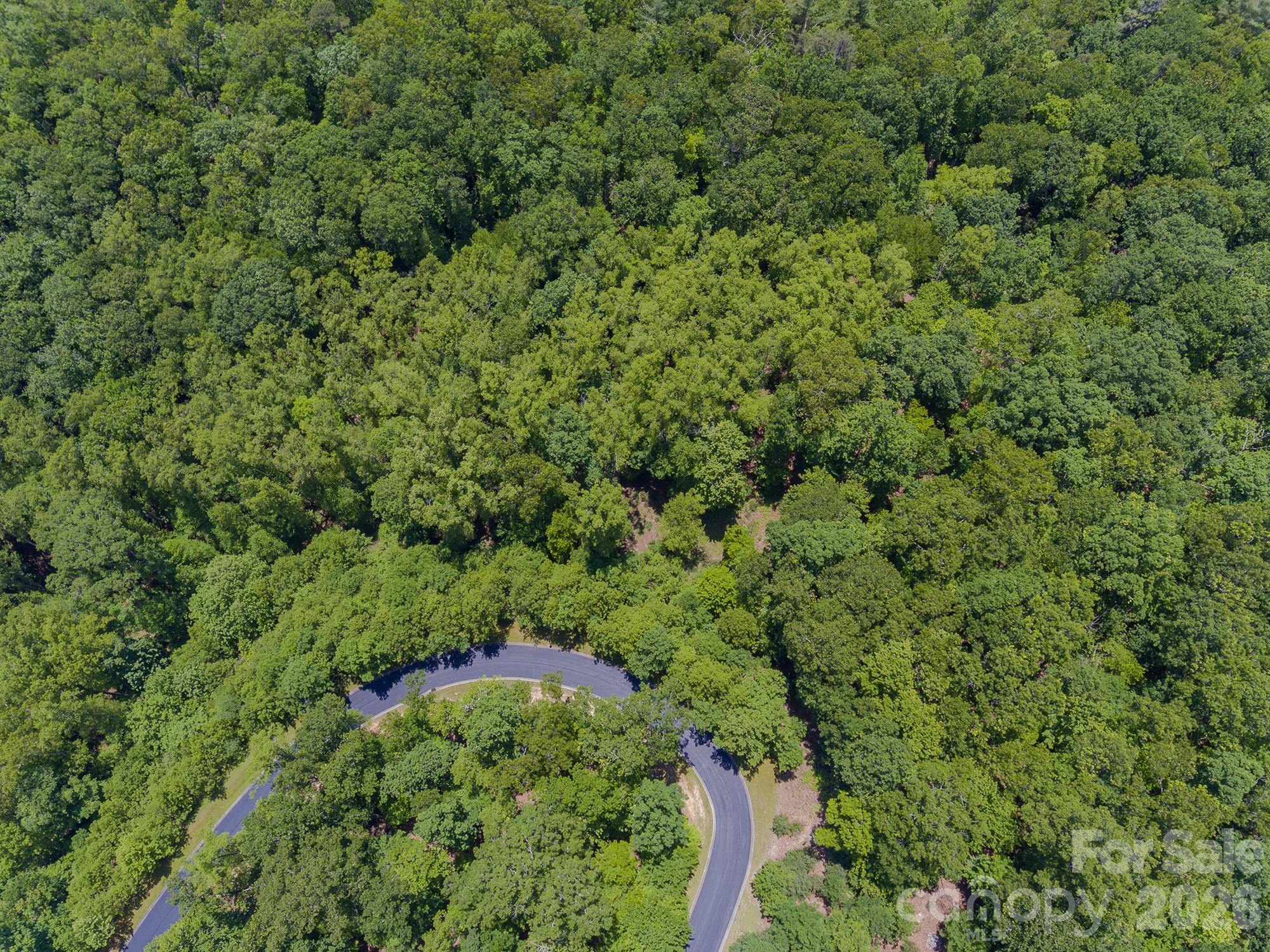 Lot at lot 53R Mills River Way, Horse Shoe, photo 16 of 33