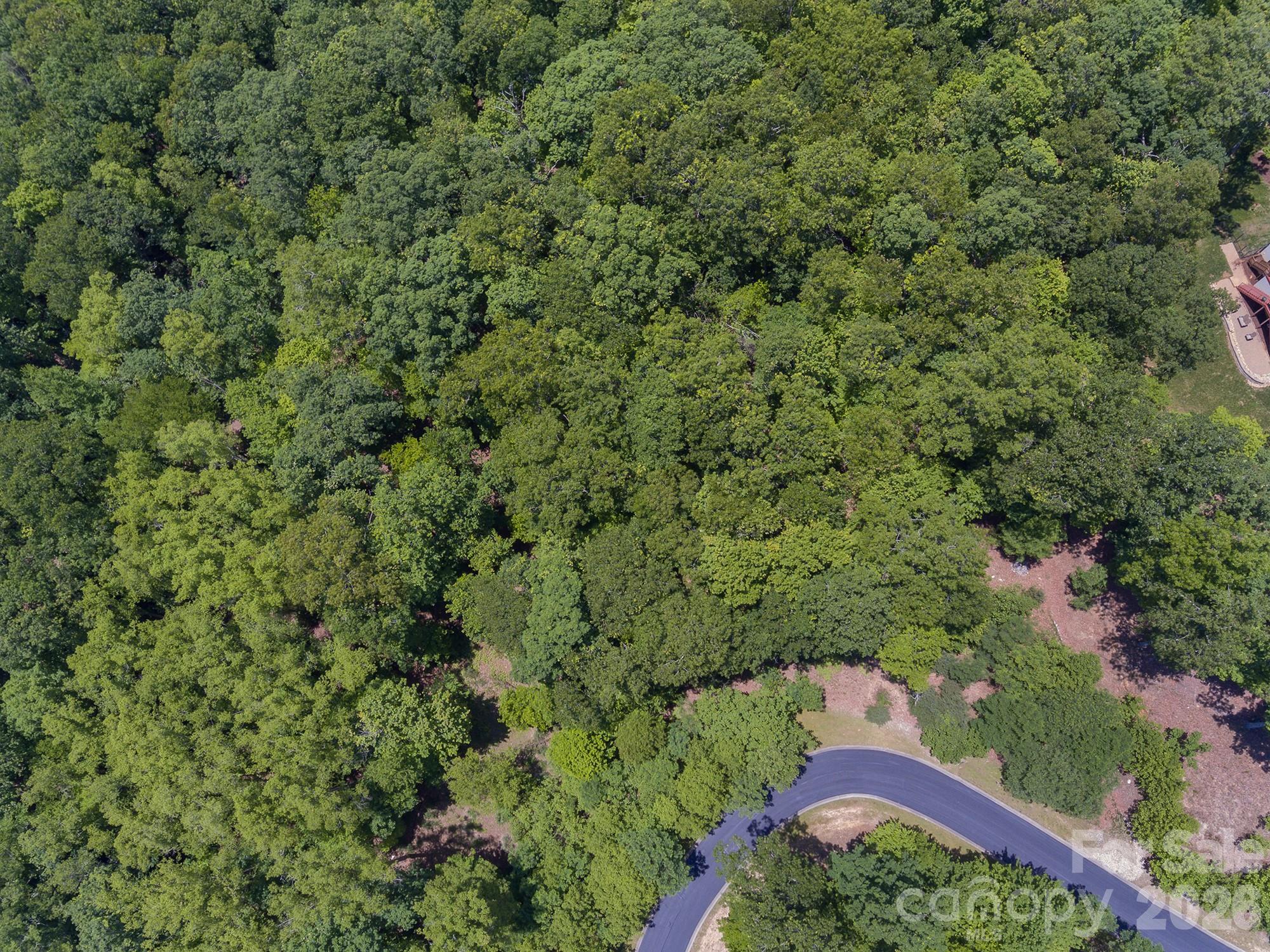 Lot at lot 53R Mills River Way, Horse Shoe, photo 19 of 33