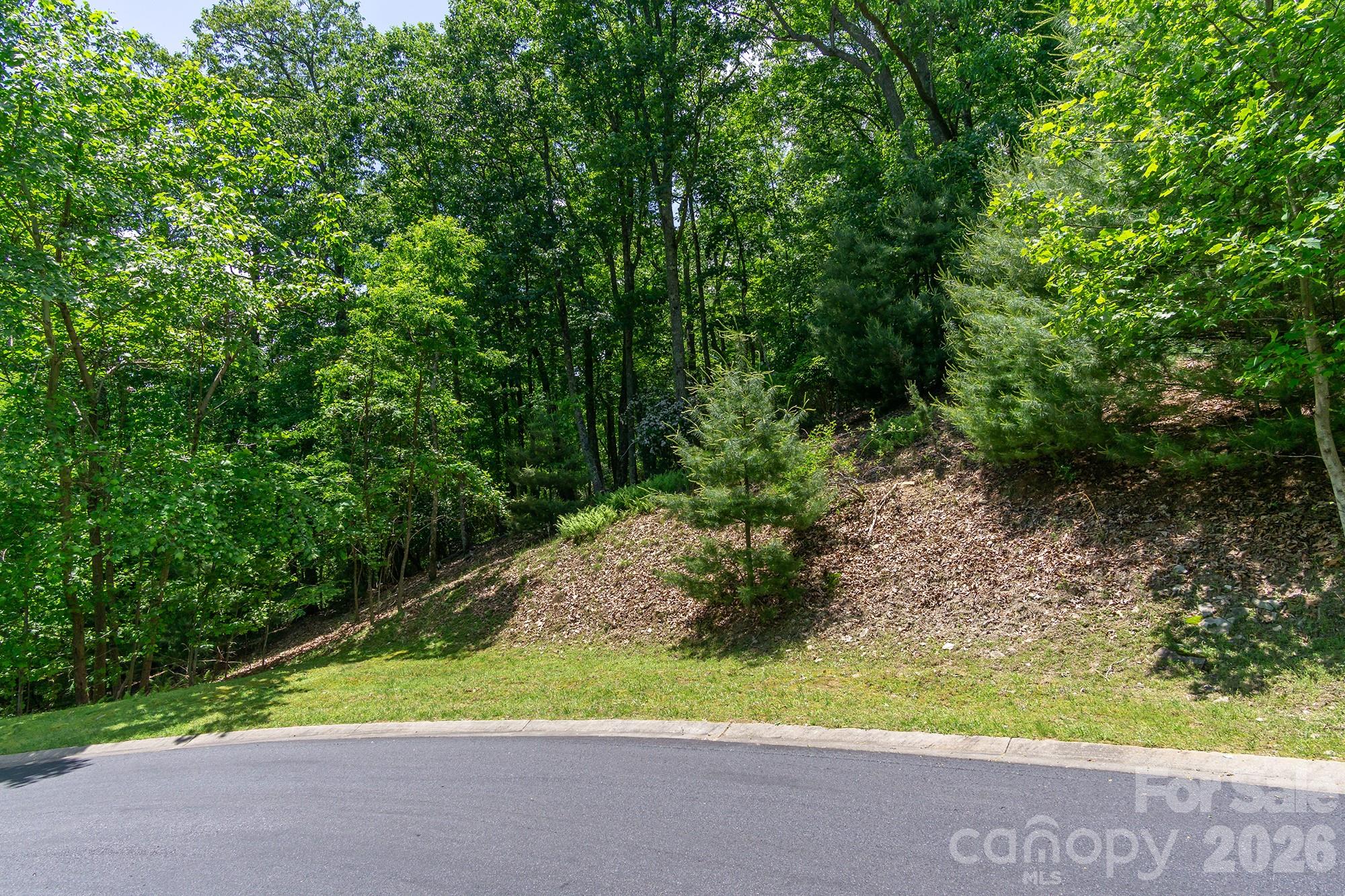 Lot at lot 53R Mills River Way, Horse Shoe, photo 26 of 33